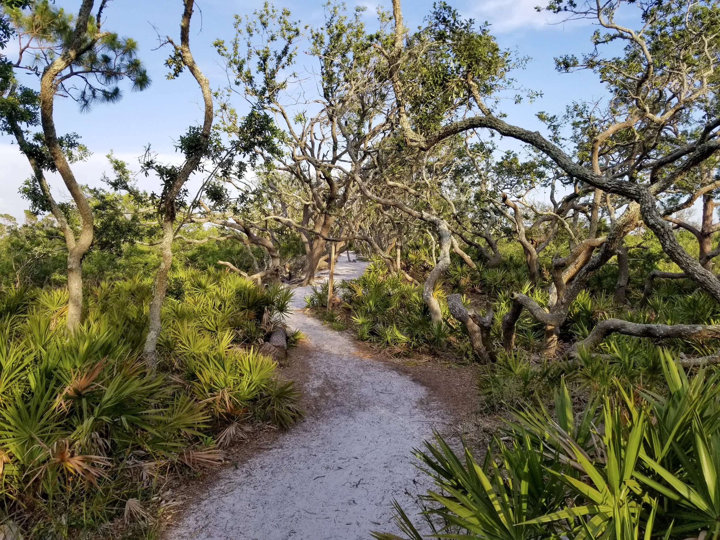 Where the Path Leads
