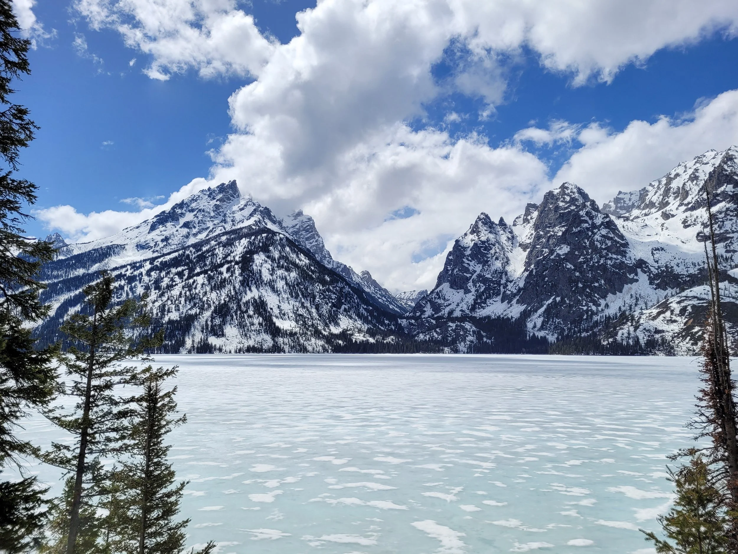 Stillness in Winter