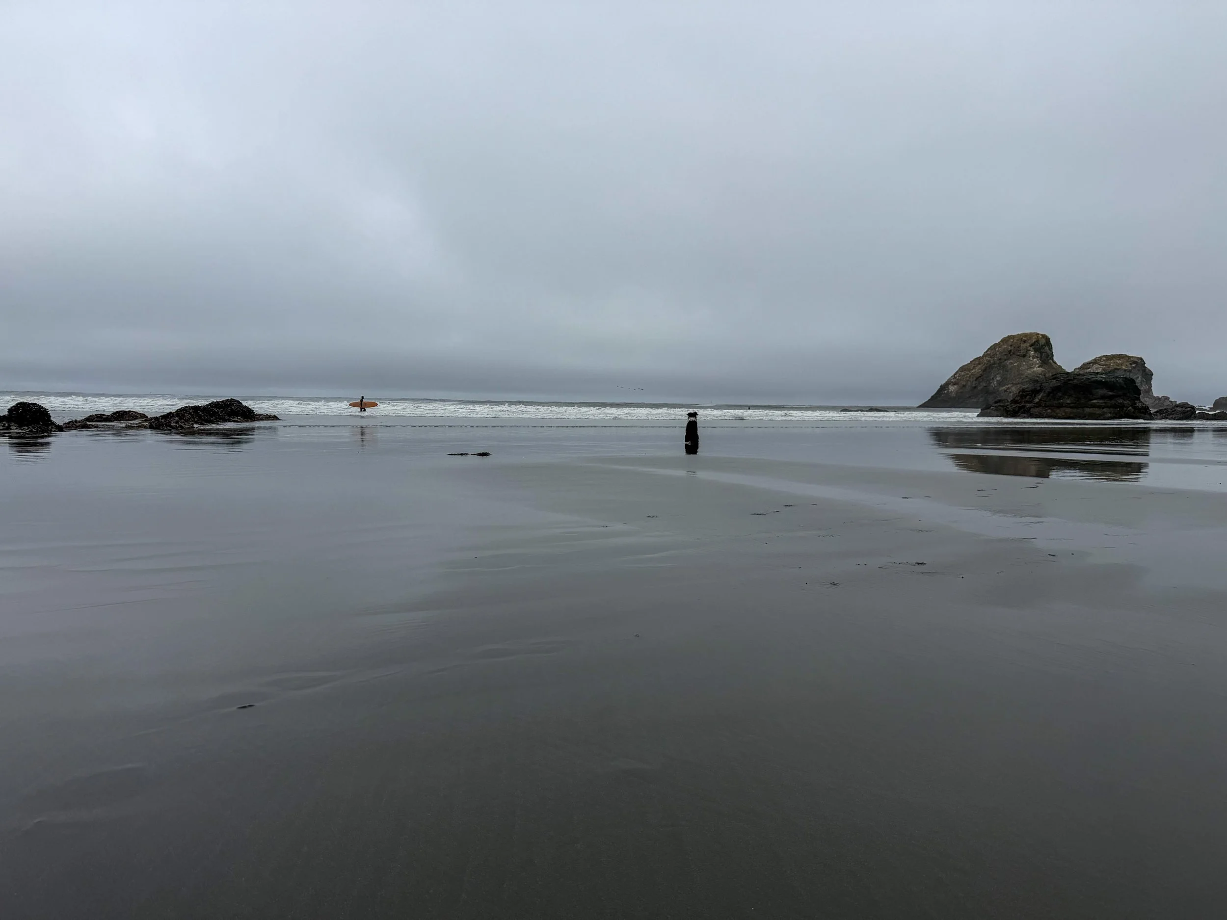 Companions in the Mist