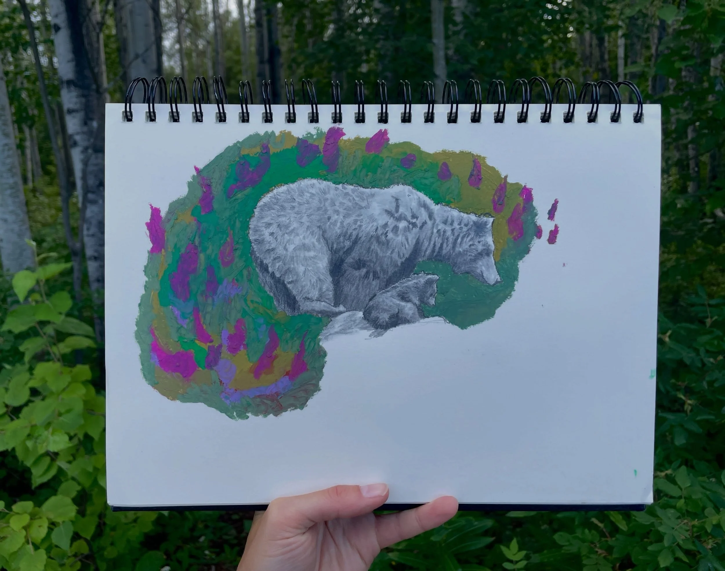 Okay, DIDNT make as much art as I was hoping to on our road trip to the Yukon, but I have big plans to do some paintings when I get home of the beautiful mountains we saw.

Enjoy my most cared for sketch of the trip of this bear, is seemed to fit the