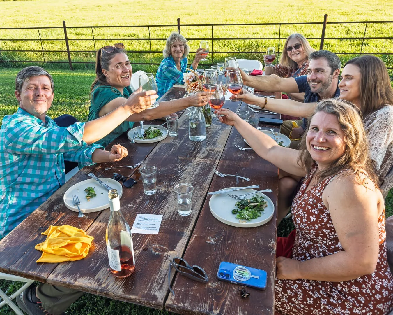 Group of people enjoying a meal outdoors at a long wooden table, raising glasses of wine for a toast, with a grassy field and a fence in the background.