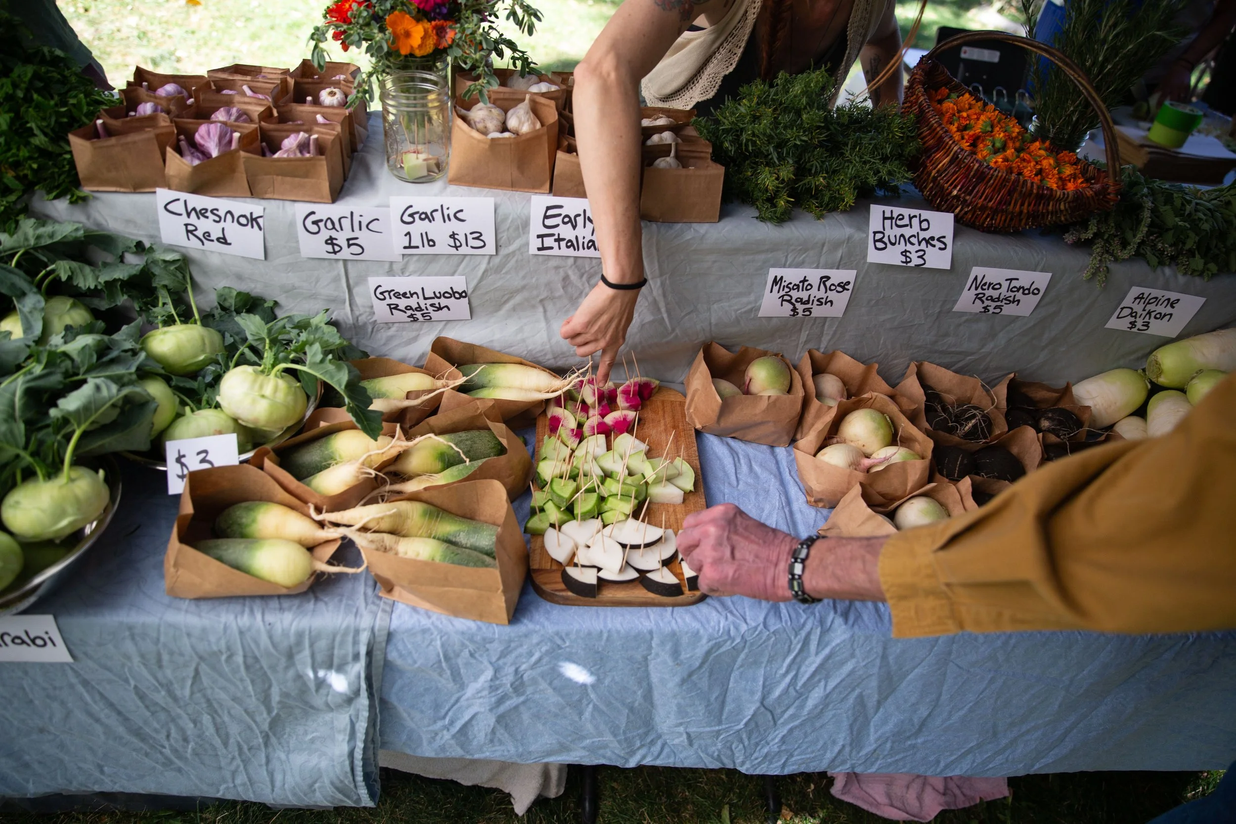 A farmer's market stall with various fresh vegetables and herbs, including garlic, radishes, and tomatoes, with handwritten signs and a customer's hand pointing at some radishes.