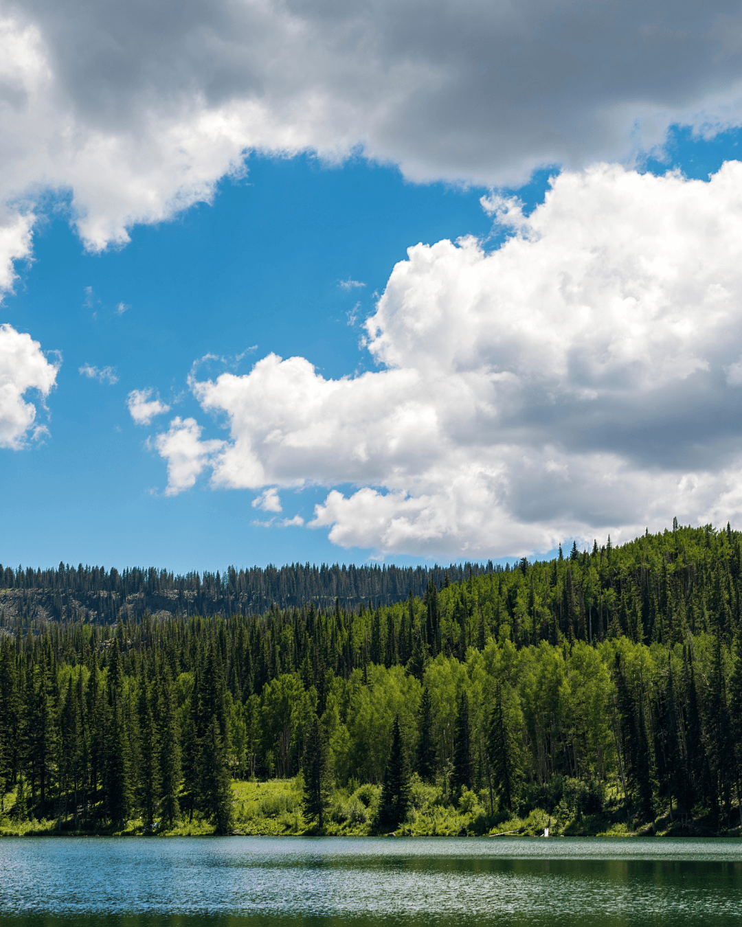 Scenic view of a lake with calm water, surrounded by lush green trees and rolling hills, under a partly cloudy sky.