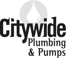 Logo of Citywide Plumbing & Pumps. Plumbing client from rural North Auckland.