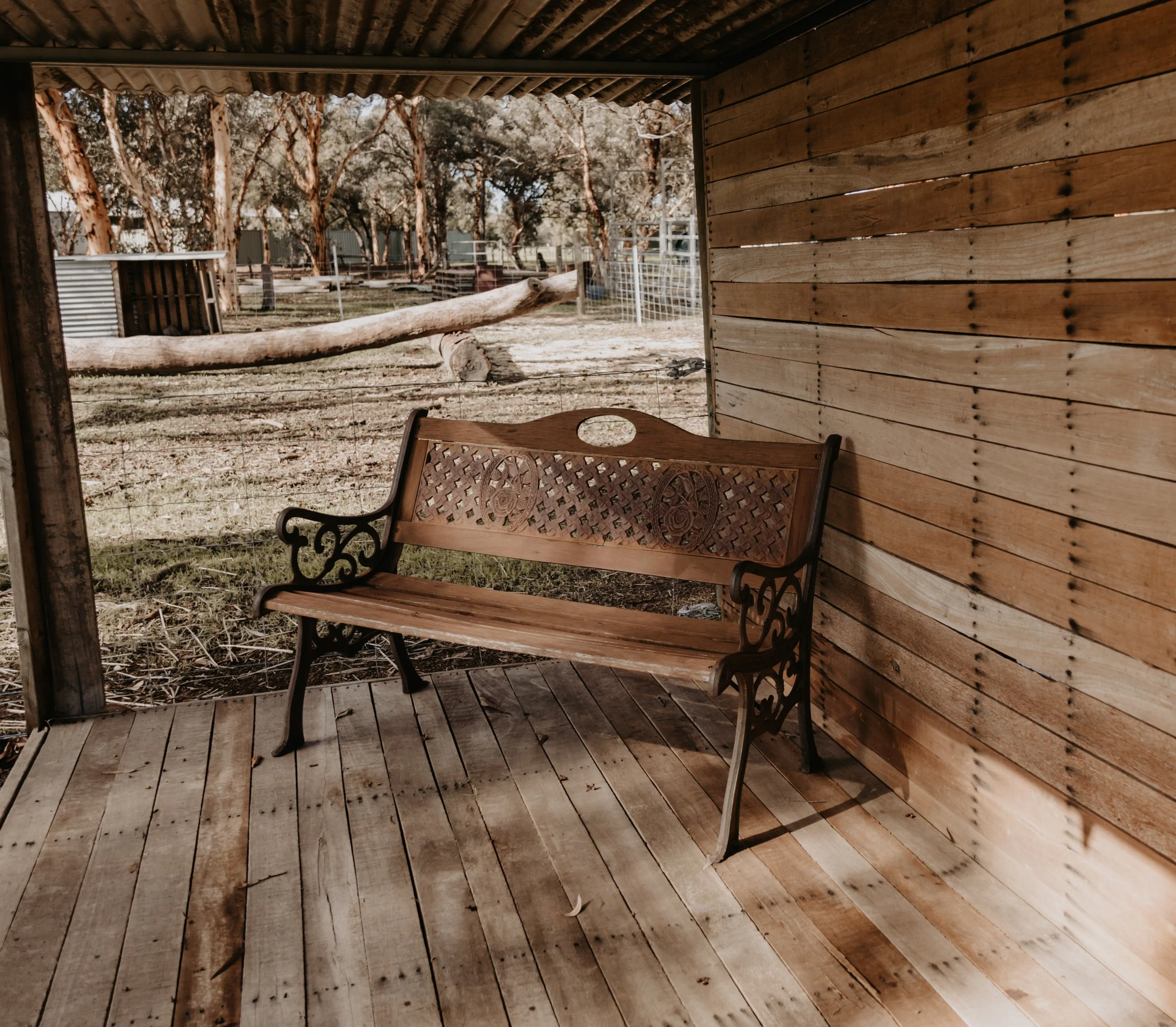 View of a rustic outdoor area seen from inside a wooden structure, with a wooden bench and a slanted wooden wall in the foreground, and trees and a fenced yard in the background.