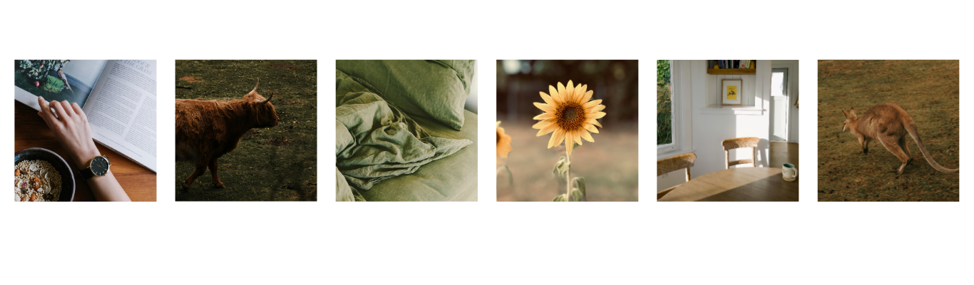 Sequence of six images: a person reading a magazine with a bowl of cereal, a brown goat standing outdoors, rumpled green bedding, a sunflower in bloom, a cozy dining room with a window and chairs, and a kangaroo hopping in a field.