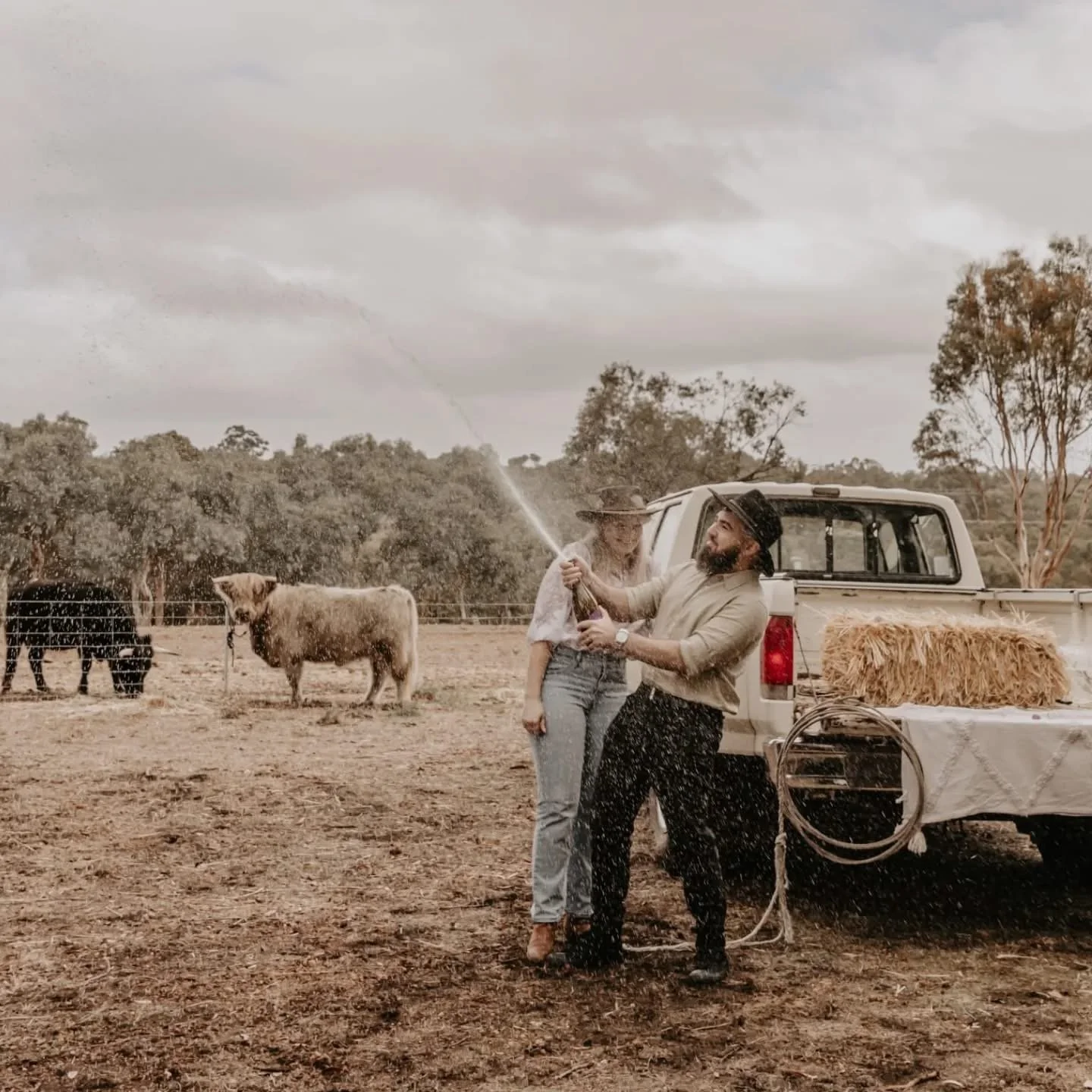 Two men celebrating with a champagne bottle, one spraying champagne on the other, outdoors in a rural setting with cattle in the background.