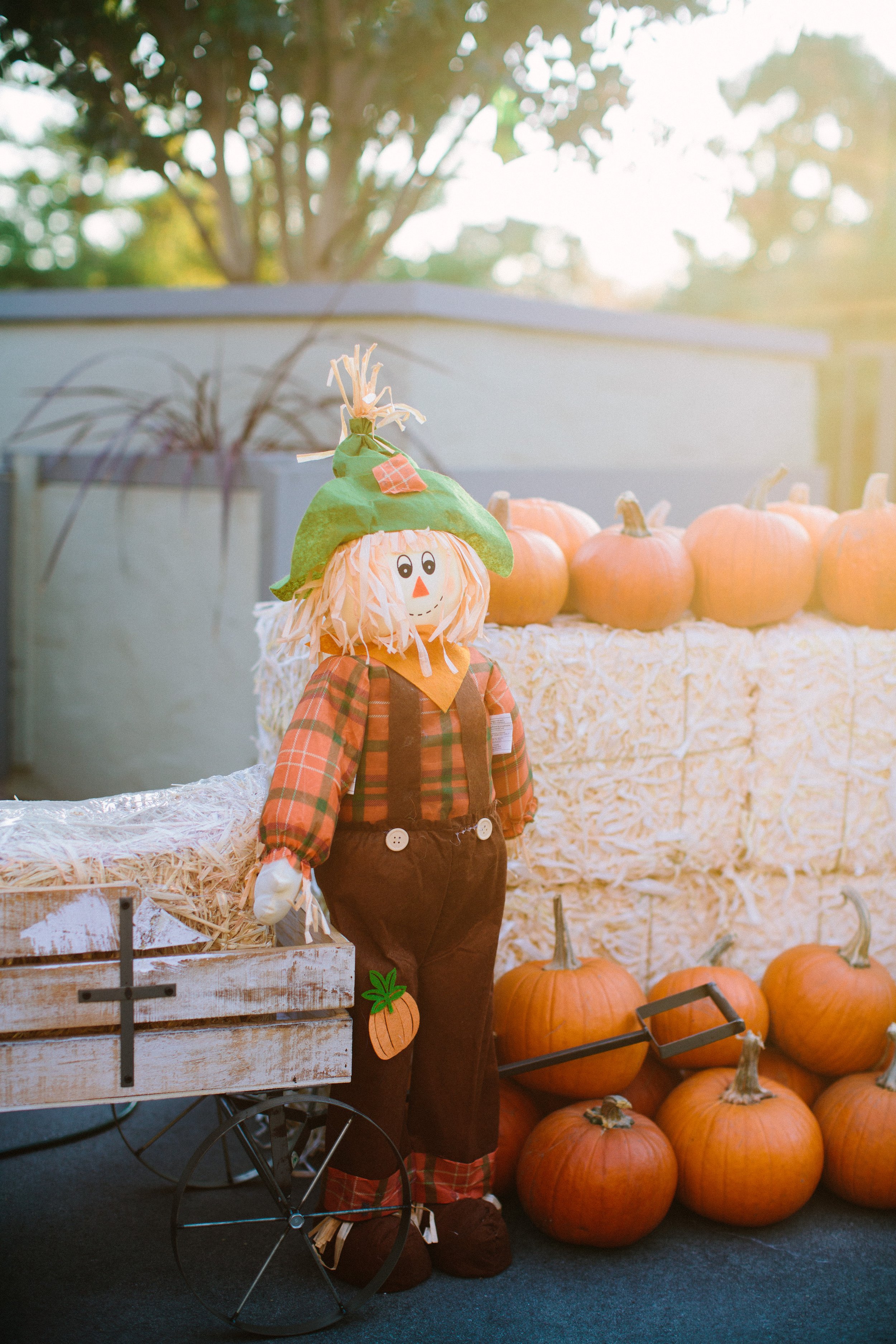 this-love-of-yours-mayfield-halloween-party-dreamy-027.jpg