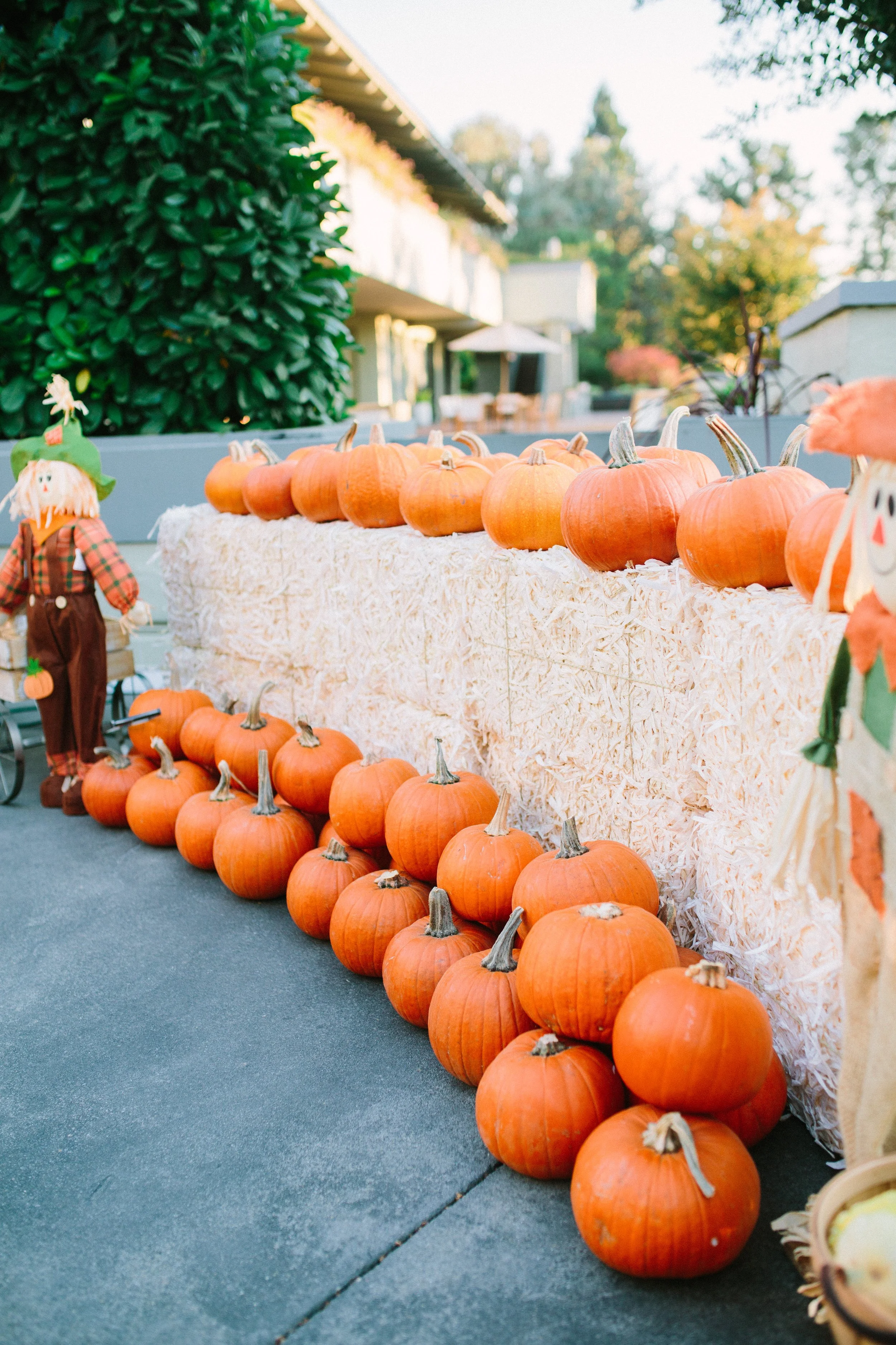 this-love-of-yours-mayfield-halloween-party-dreamy-026.jpg