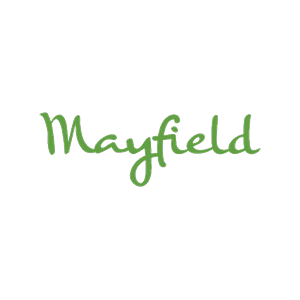 Black background with green cursive text that says 'Mayfield'
