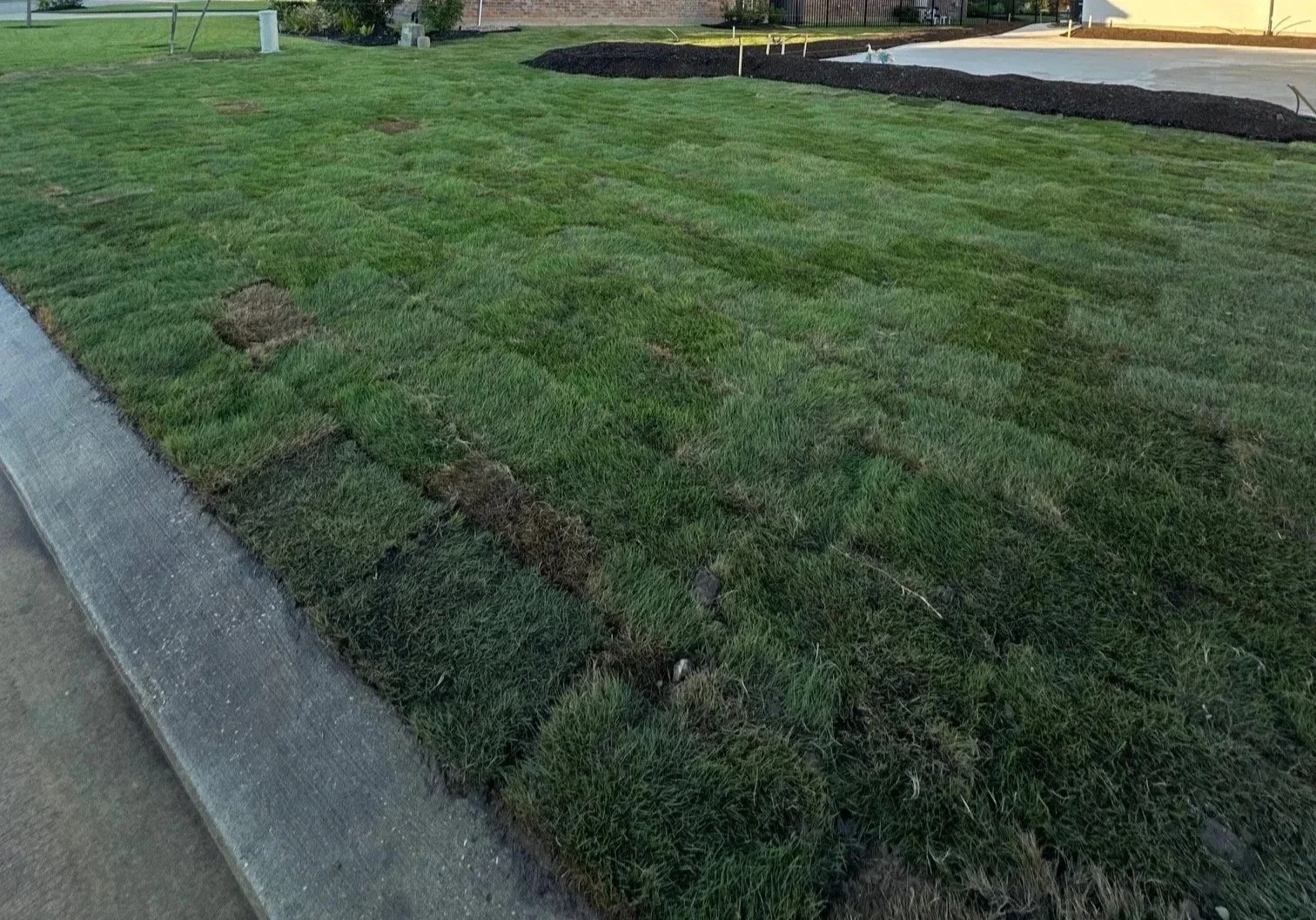 Section of a recently laid sod lawn with some patches of dirt showing, near a sidewalk and a landscaped area with mulch and yellow markers.