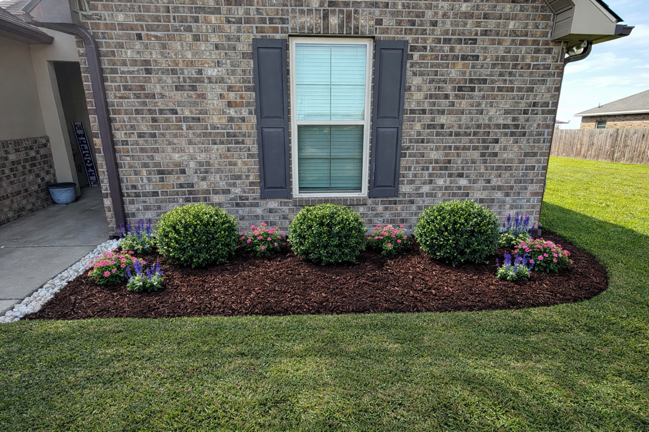 Front yard flower bed with four large green bushes and pink and purple flowers, surrounded by brown mulch and a grass lawn in the background.