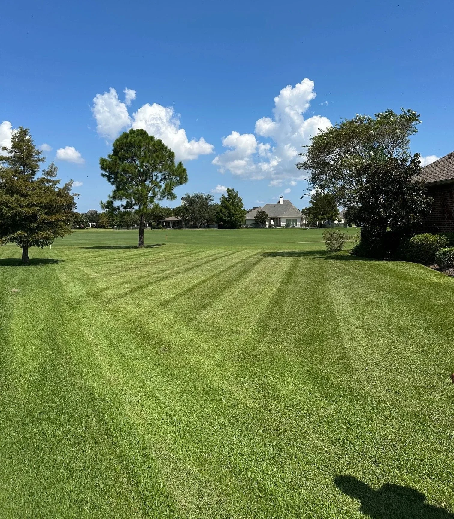 A well-maintained grassy yard with trees, a house in the background, and a bright blue sky with scattered white clouds.