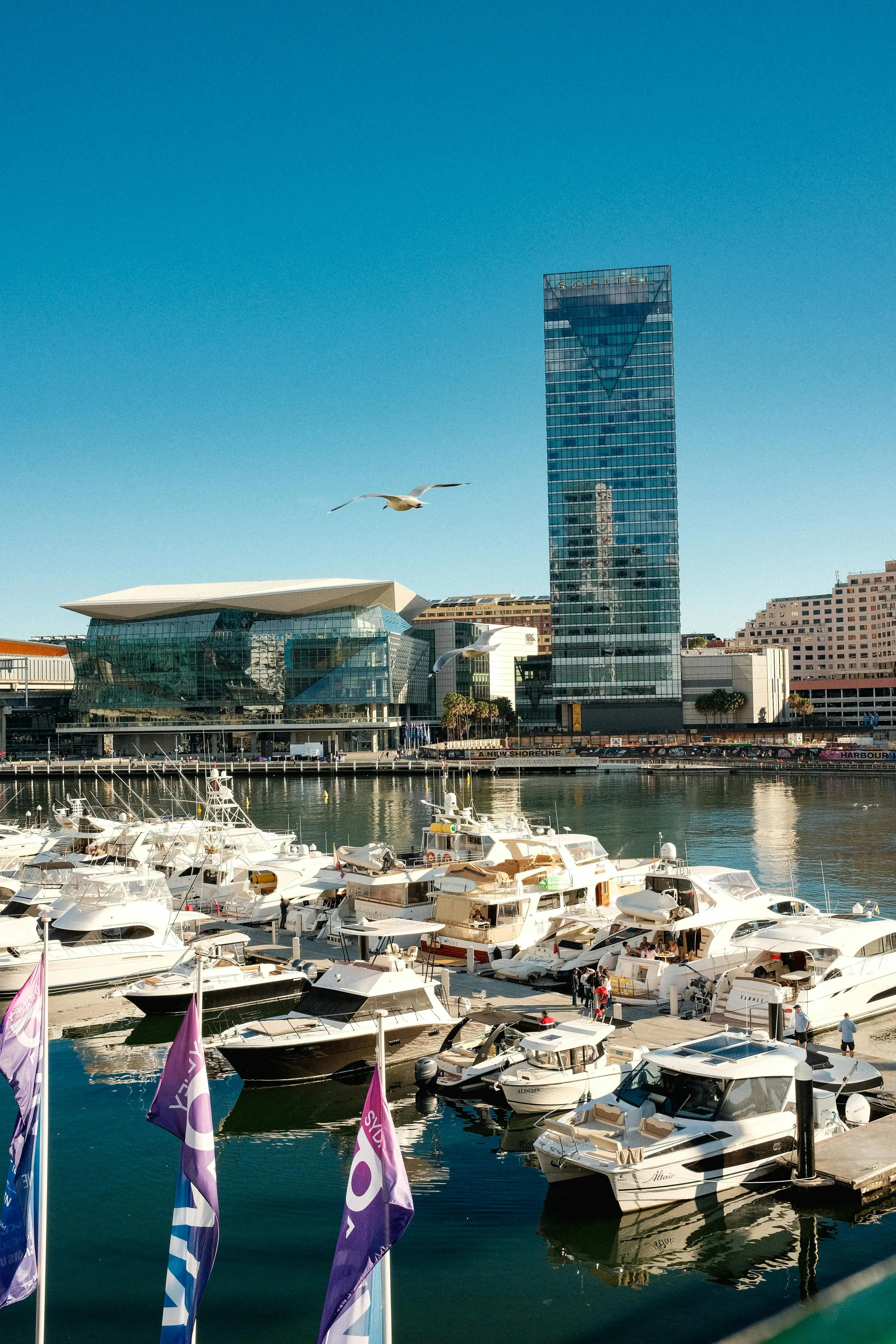 Chicago International Boat Show
