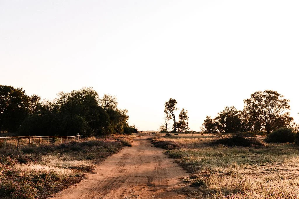 DIRT TRACK