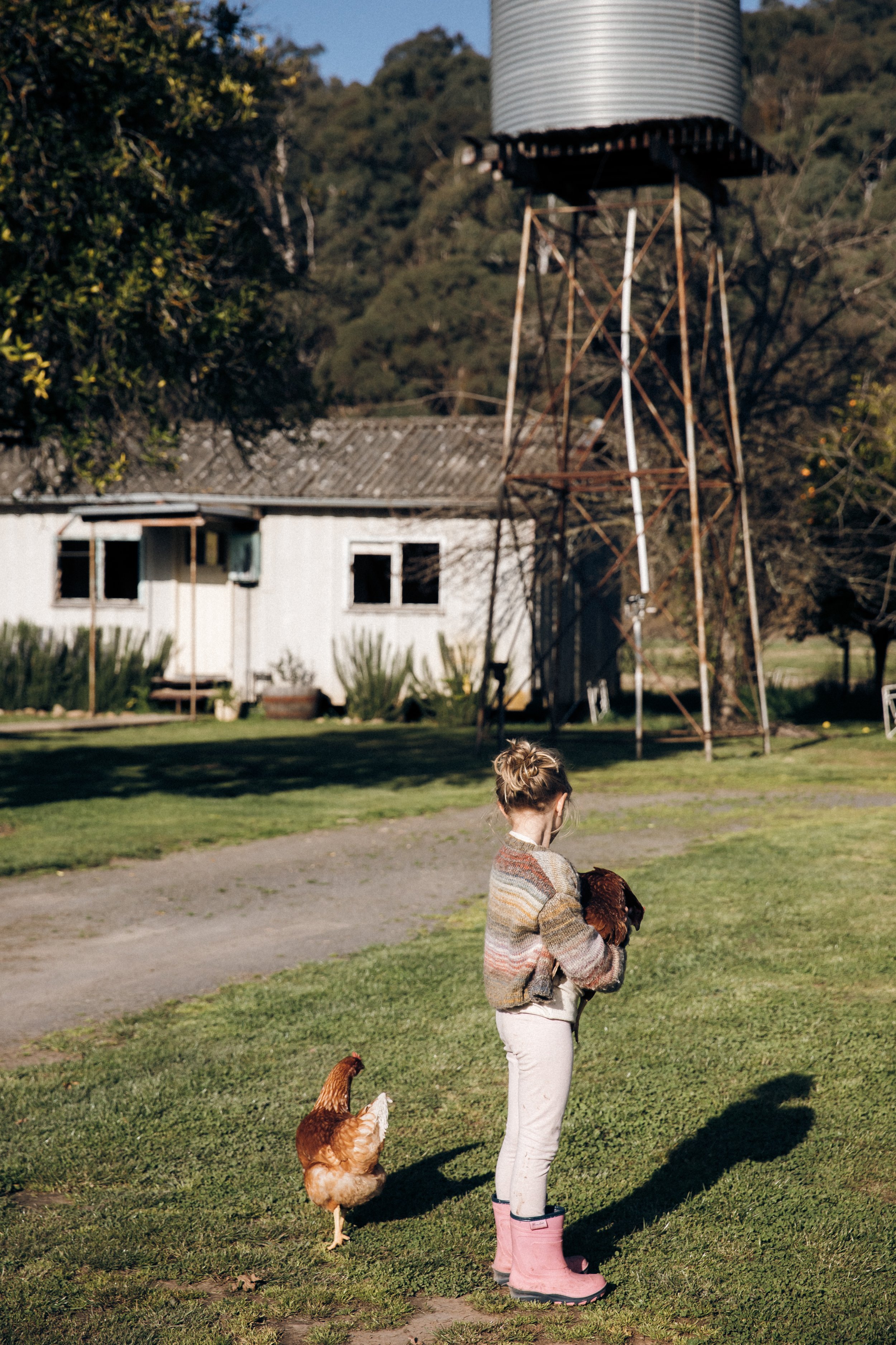 burrowesrest_highres_23-68.jpg