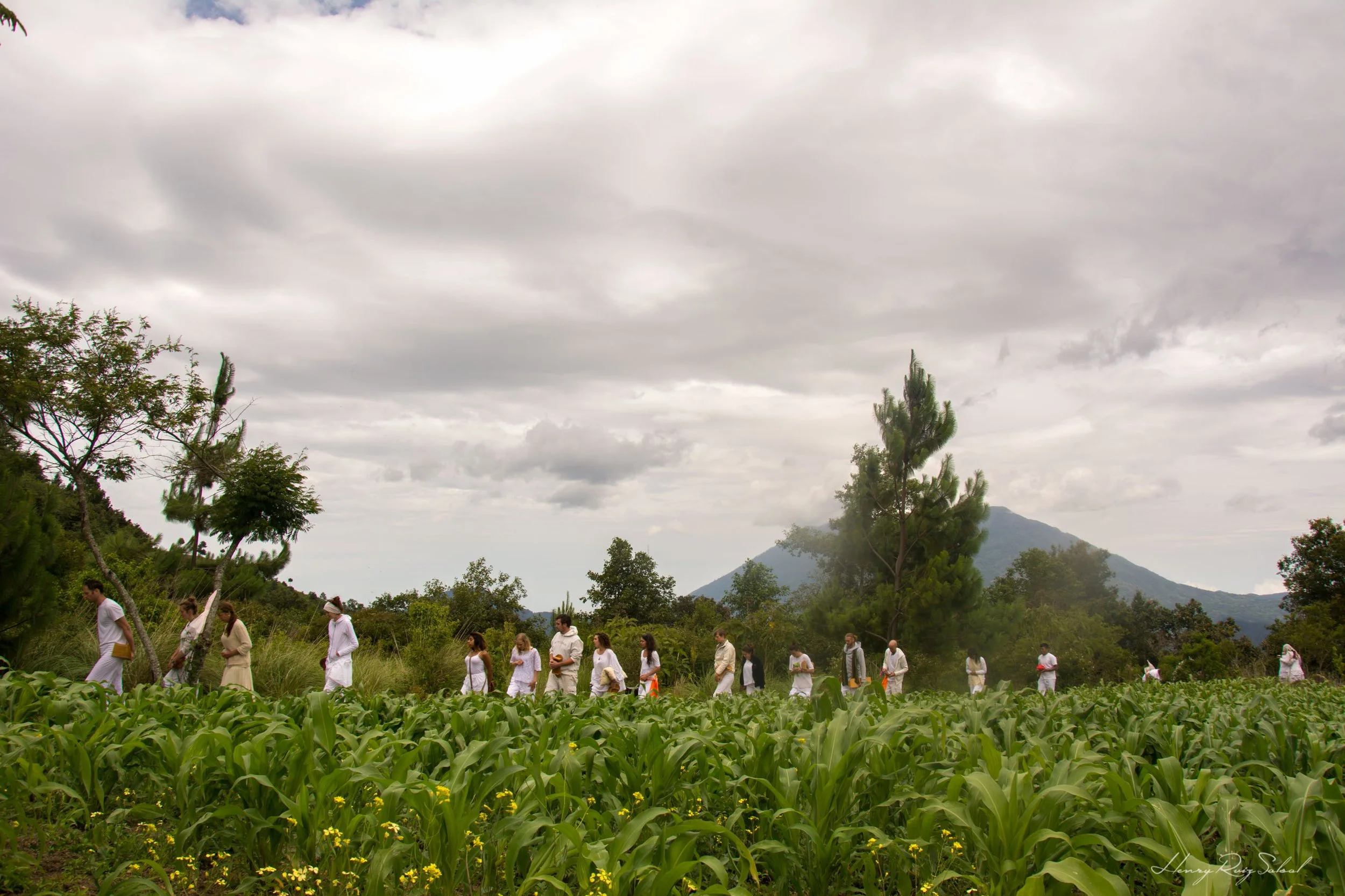 Grupo de personas caminando por una plantación agrícola rodeada de árboles y montañas, con cielo nublado.