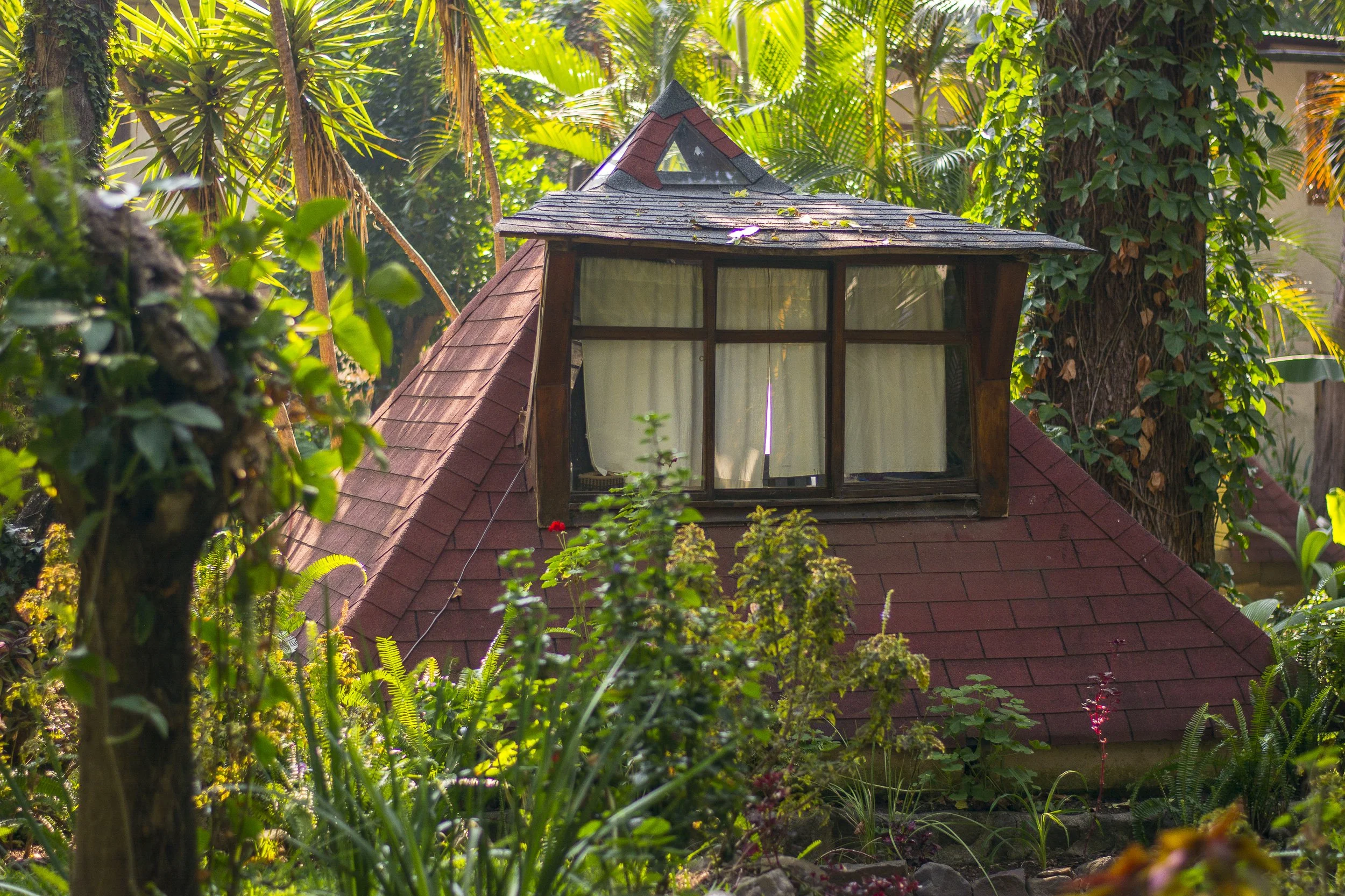 Casa de madera con techo de tejas rojas y ventanas grandes, rodeada de vegetación tropical con árboles, plantas y flores en un jardín exuberante.