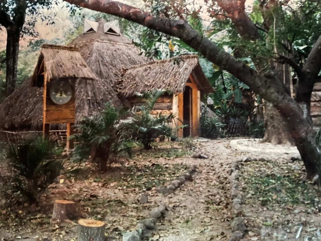 Casa de madera y paja en medio de árboles, rodeada de plantas verdes y camino de piedras en un entorno natural.