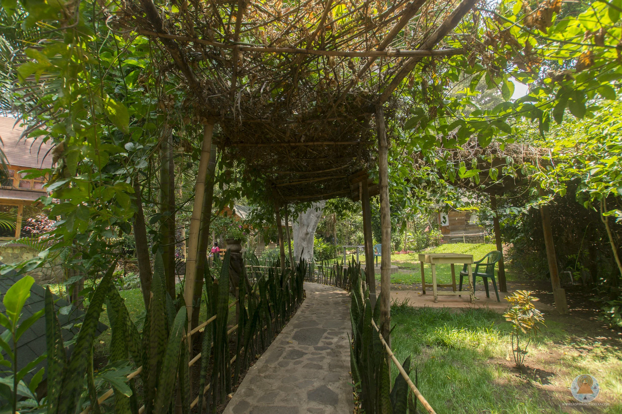 Camino de piedra en un jardín con estructura de madera y plantas verdes