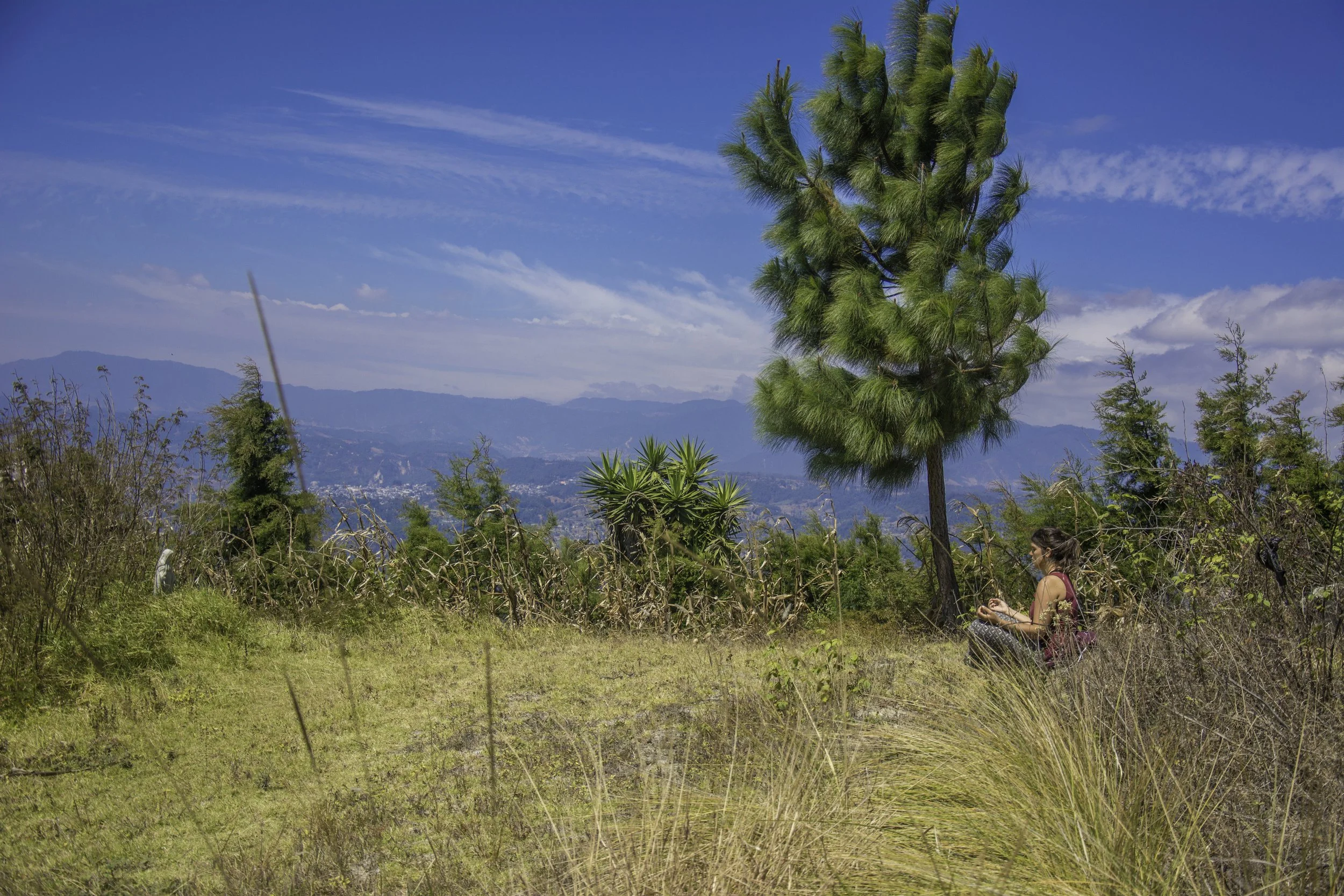 Mujer rastreando en un área con árboles, arbustos y vegetación, con montañas y cielo azul en el fondo.