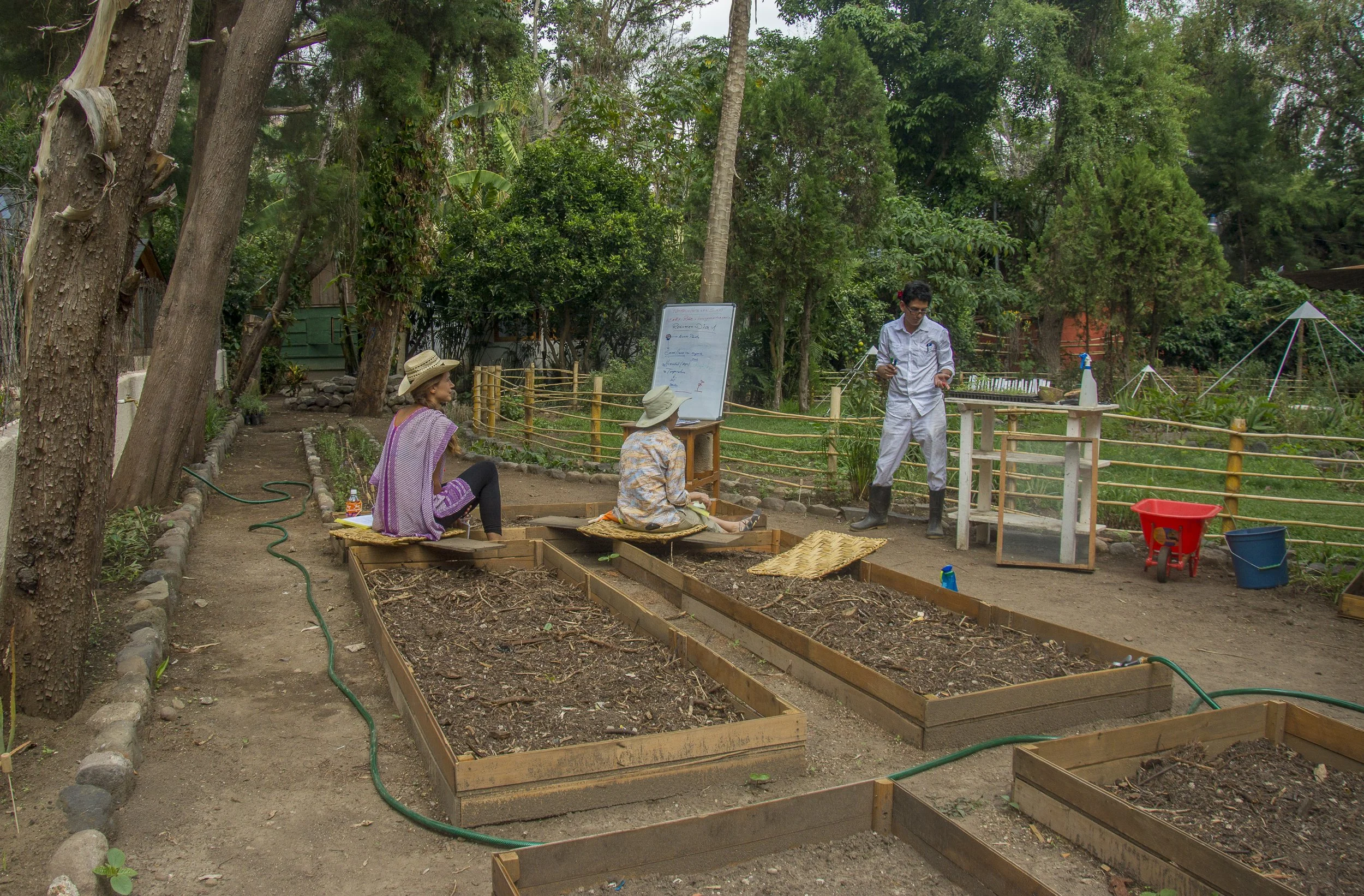Personas en un huerto realizando actividades de jardinería, con árboles grandes y estructuras de madera para cultivar hortalizas.