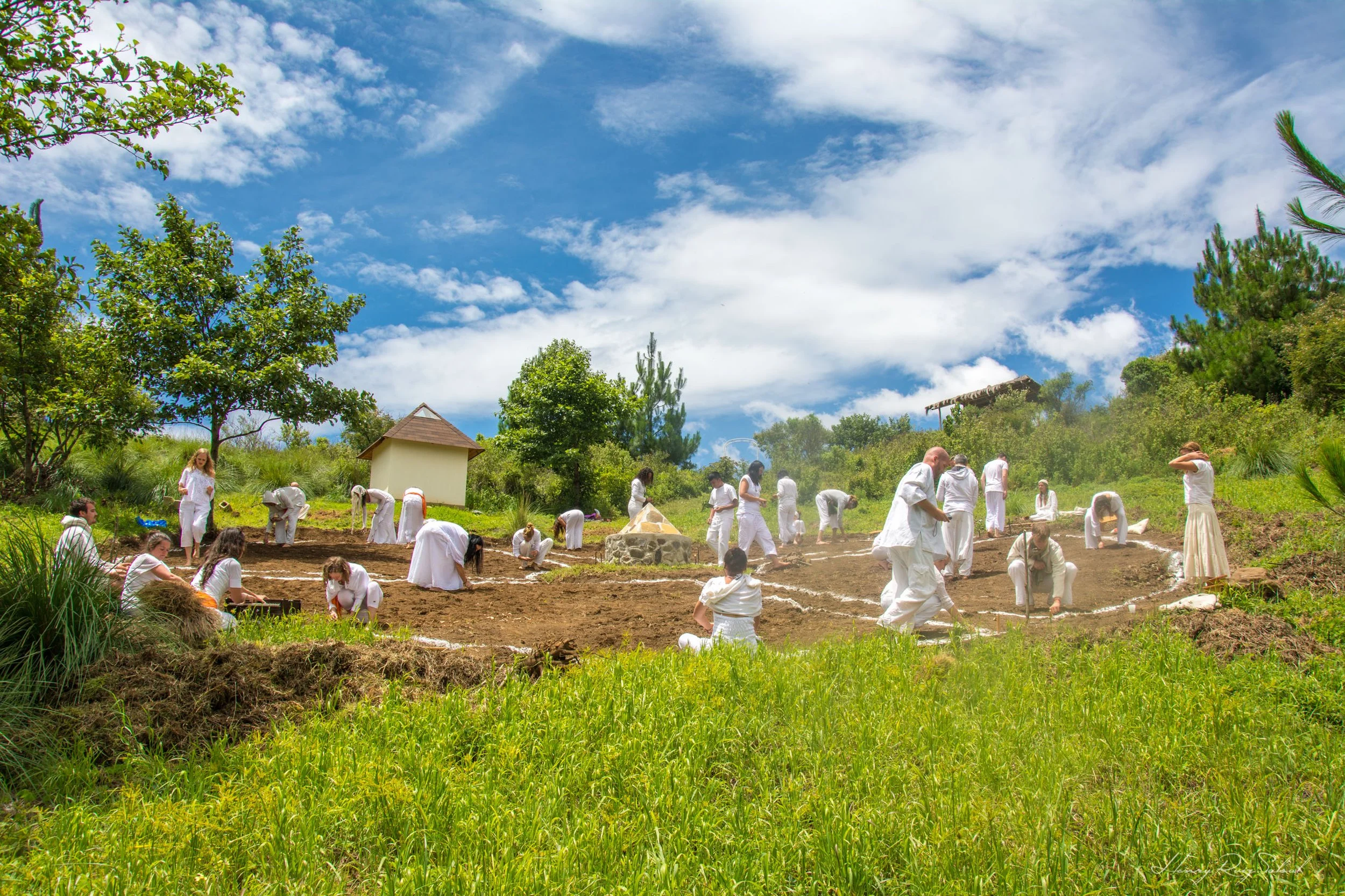 Personas vestidas de blanco trabajando en un campo de cultivo con árboles verdes y un cielo con nubes esponjosas.