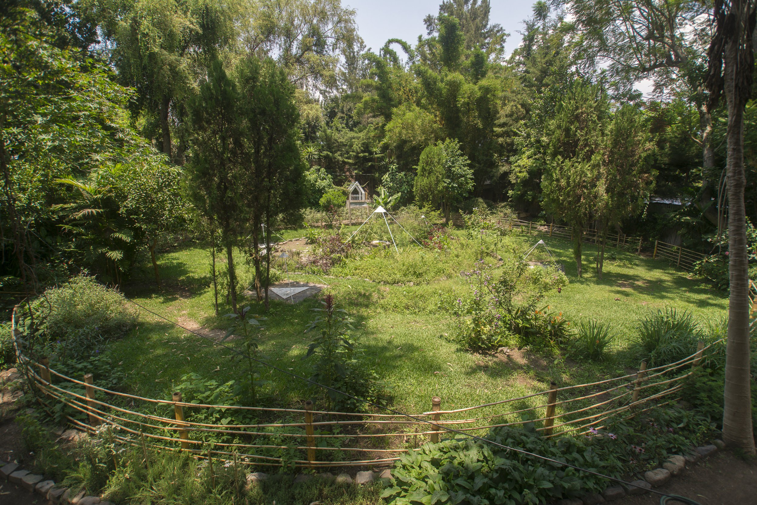 Jardín con árboles grandes y pequeños, sendero rodeado de cerca de madera y estructura de jardín o invernadero en fondo, bajo cielo despejado.