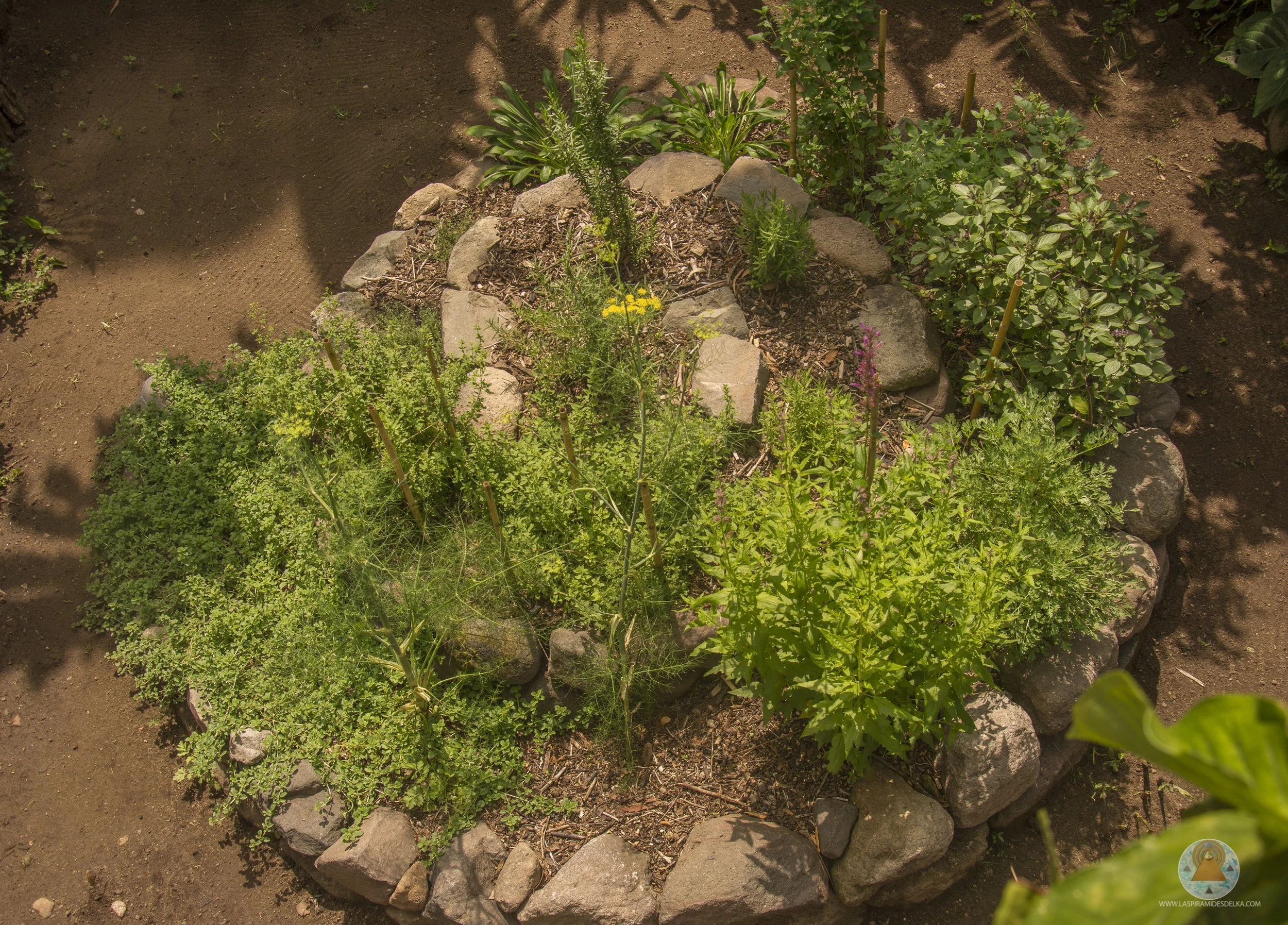 Un huerto con plantas de diferentes tipos, rodeadas por piedras y con tierra preparada para cultivar.
