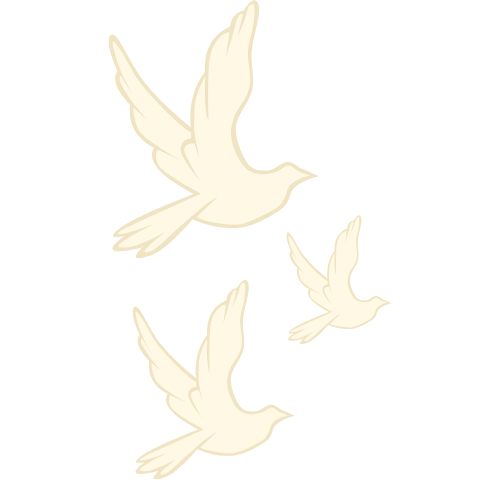 Tres palomas blancas volando en diferentes direcciones.