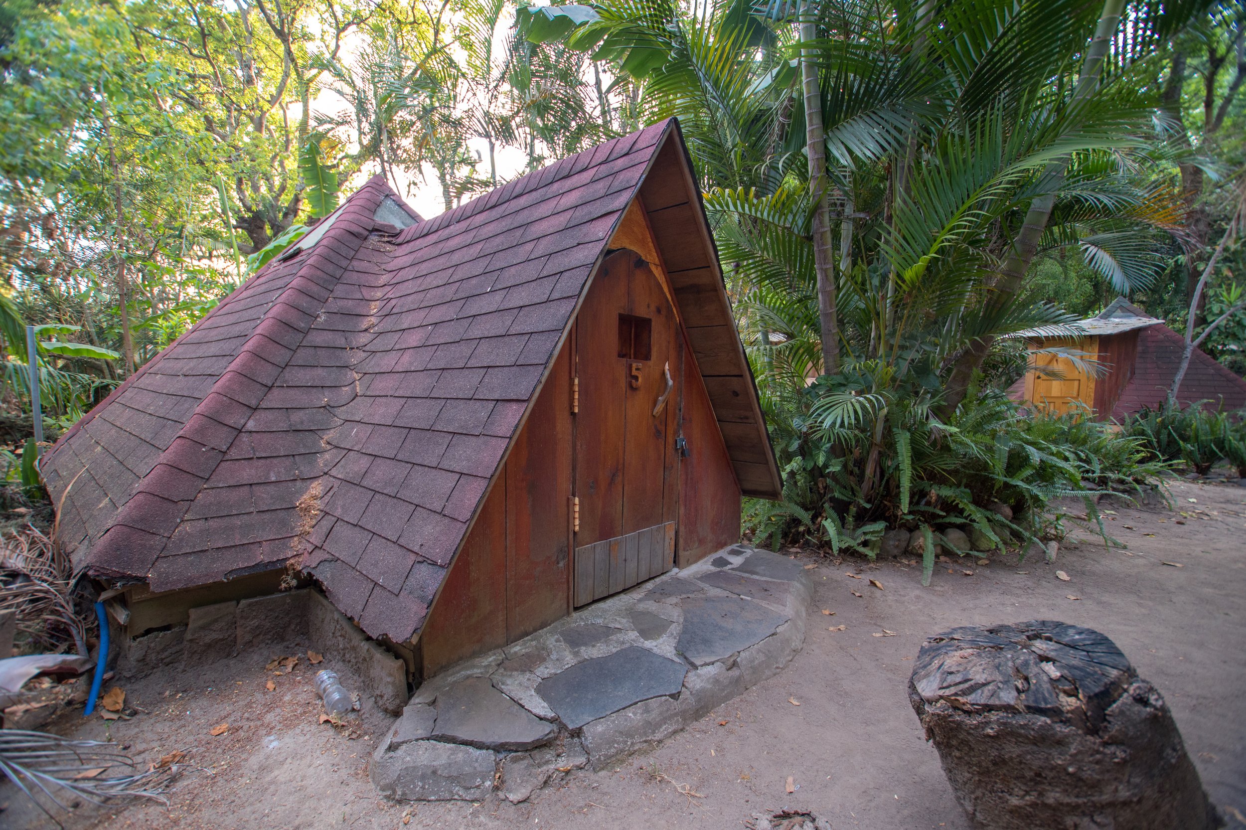 Casa pequeña de madera con techo a dos aguas, rodeada de vegetación tropical y palmeras, en un entorno natural y selvático.