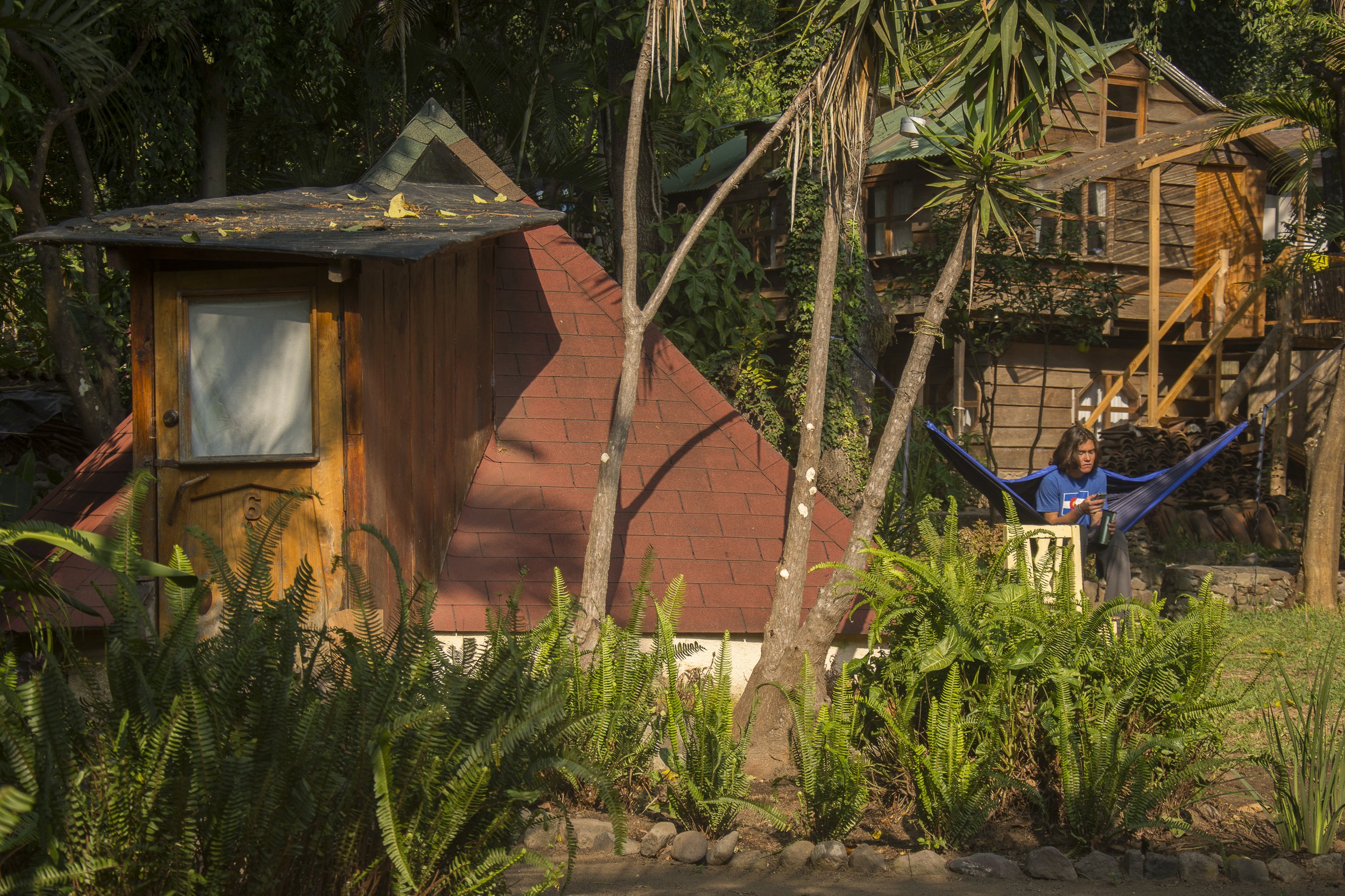 Jardín con casas en árboles de madera, rodeado de plantas verdes, con una persona joven sentada en una hamaca con una camiseta azul leyendo o usando un dispositivo electrónico.