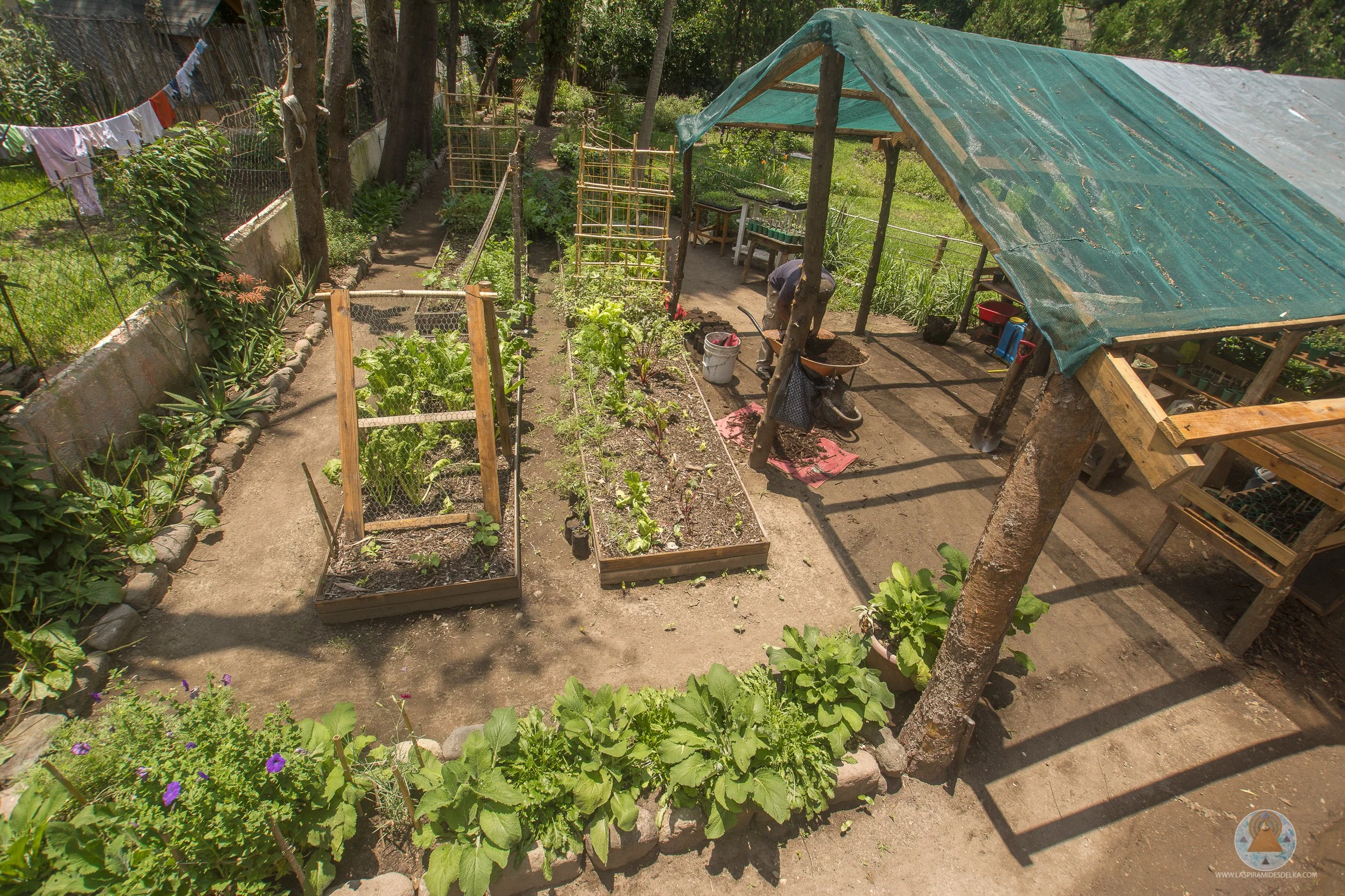 Un huerto con plantas y árboles, techado hecho con lámina de plástico azul, con una persona trabajando en la tierra, varias tablas y estructuras de madera, y ropa colgada en una cuerda para secar en el fondo.