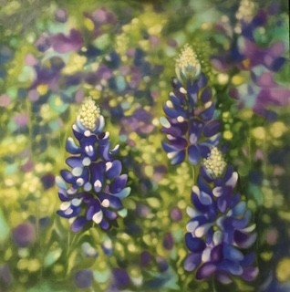 Close-up of two blue and white flower stalks against a colorful blurred background of green and purple foliage.