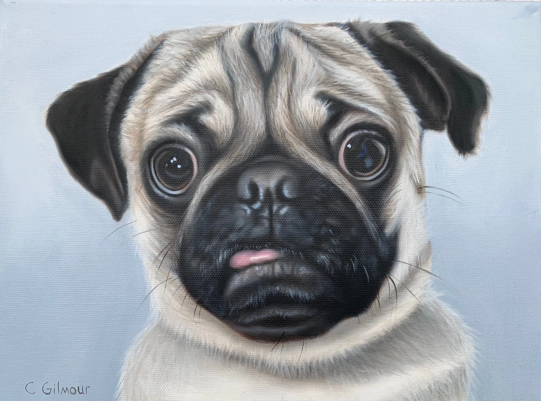 A realistic painting of a pug dog with big expressive eyes, a black muzzle, and light brown fur, on a light blue background.