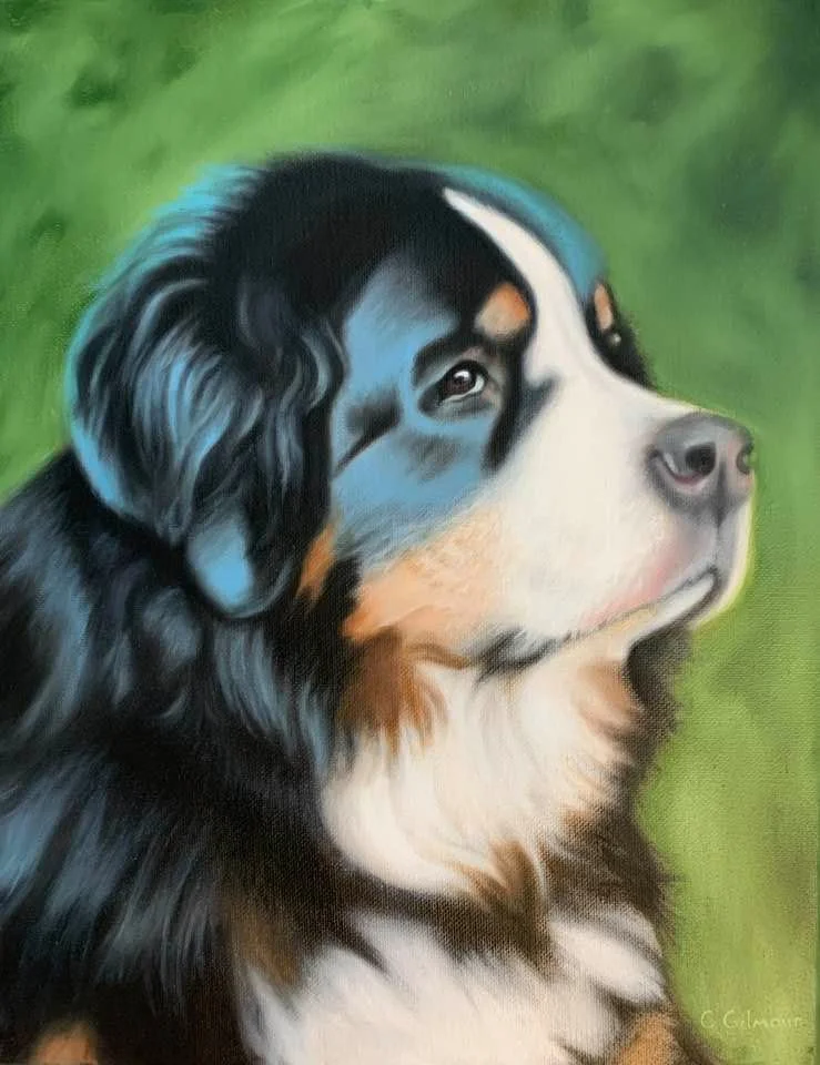 Painting of an Australian Shepherd dog with a black, white, and brown coat, looking to the right against a green background.