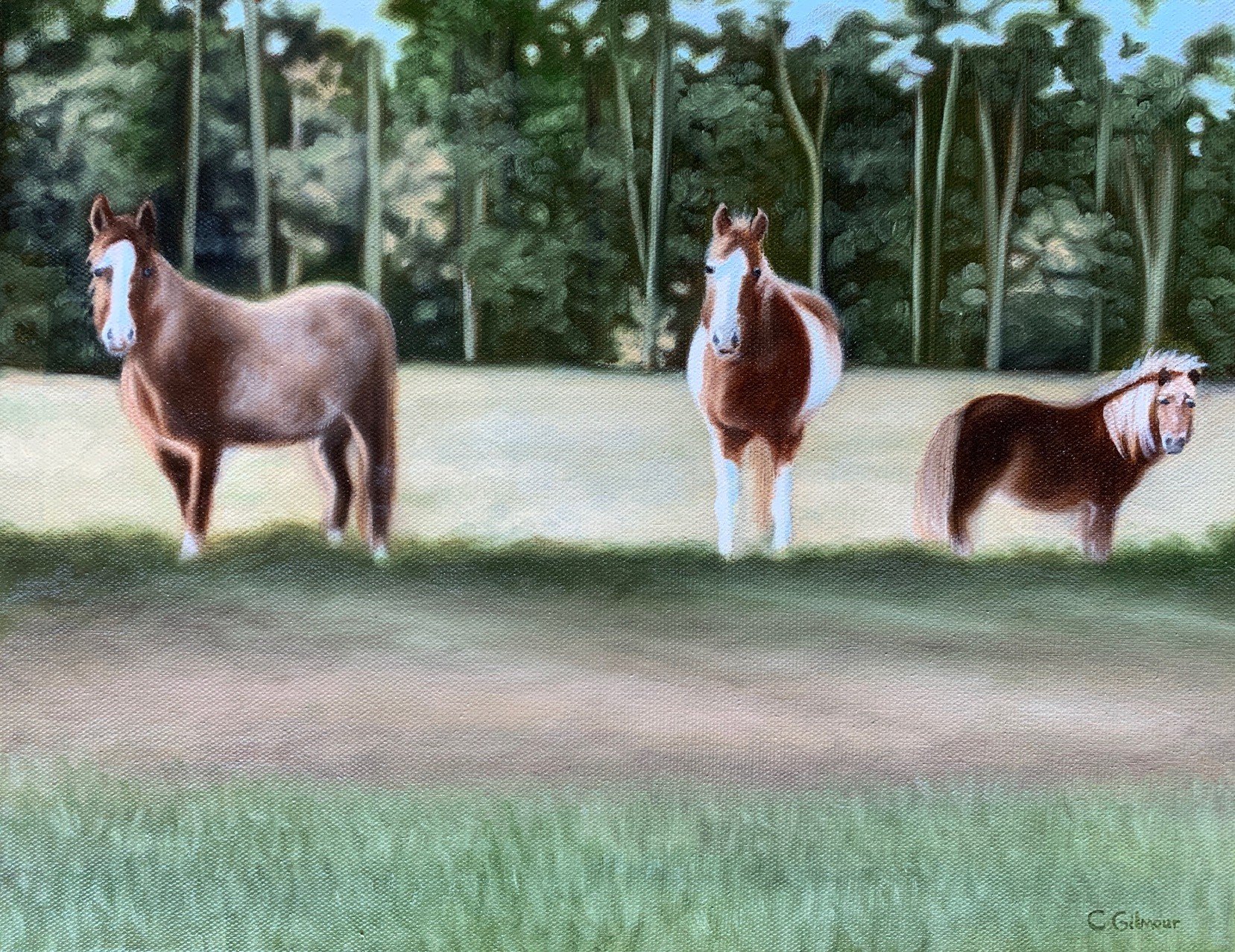 Three horses standing on a grassy field with trees in the background.