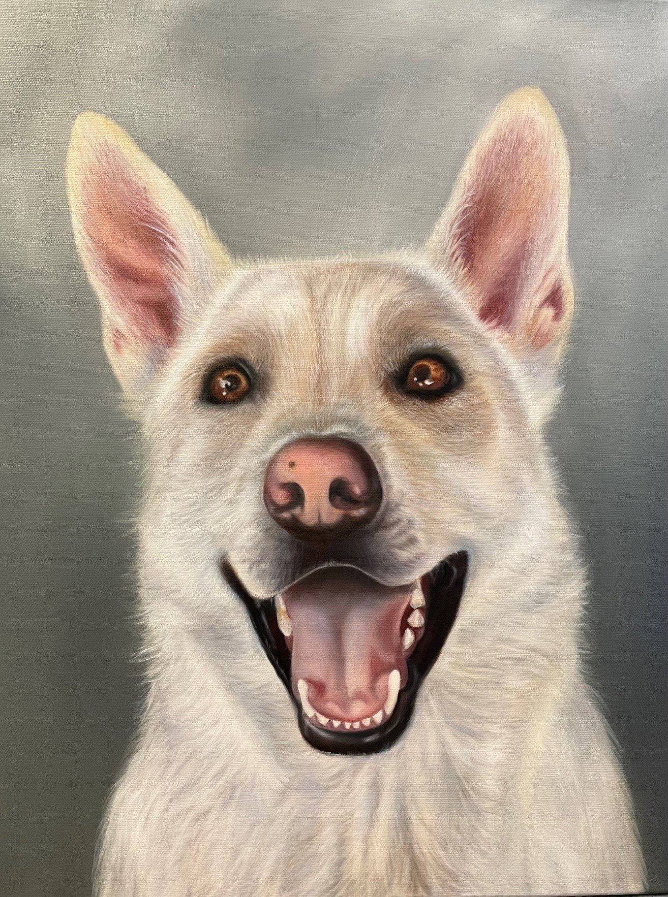 A happy, smiling white dog with pointy ears and amber eyes, mouth open showing teeth, against a neutral gray background.
