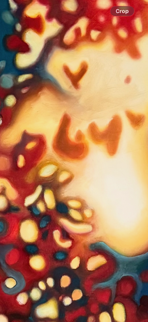 IMG_1477.PNG