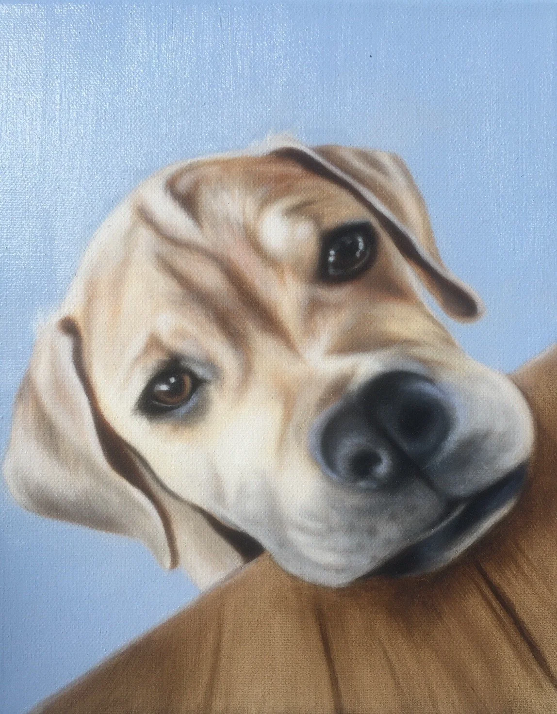 A realistic painting of a light brown dog with dark eyes, lying on a brown couch with a light blue wall in the background.
