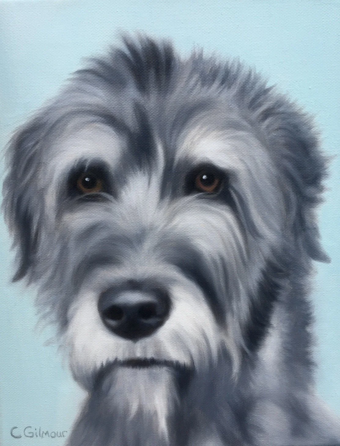 Close-up portrait of a fluffy, grey and white dog with deep, expressive eyes and a black nose. The dog has a similar appearance to a Border Collie or Australian Shepherd.
