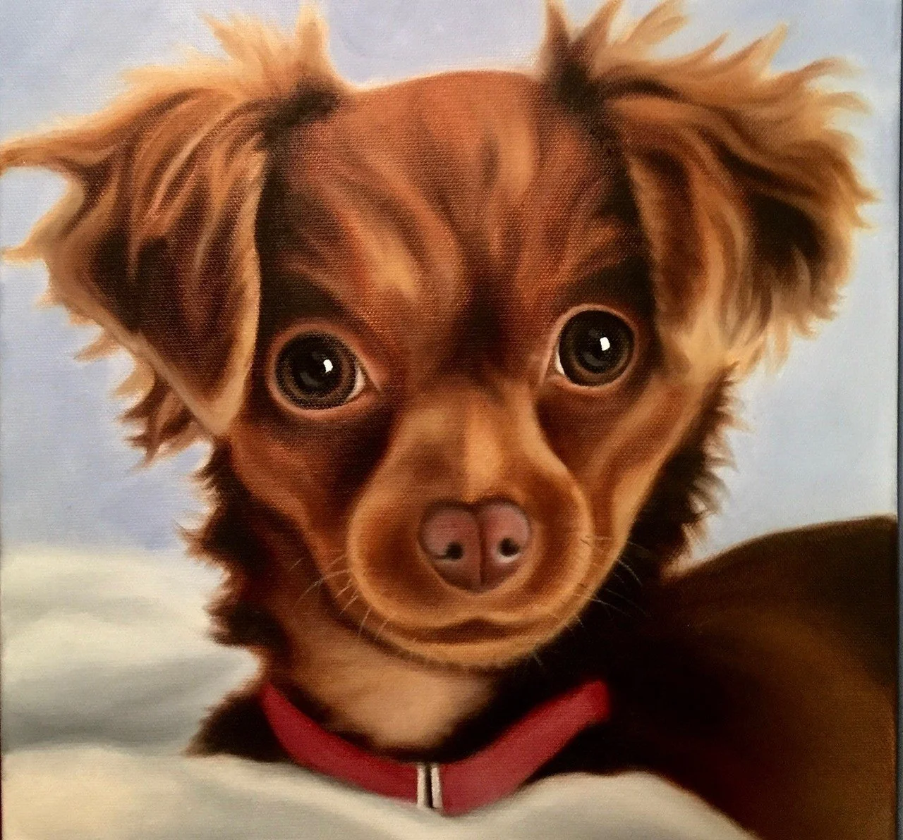 A close-up photo of a brown puppy with big, expressive eyes and wavy ears, wearing a red collar.