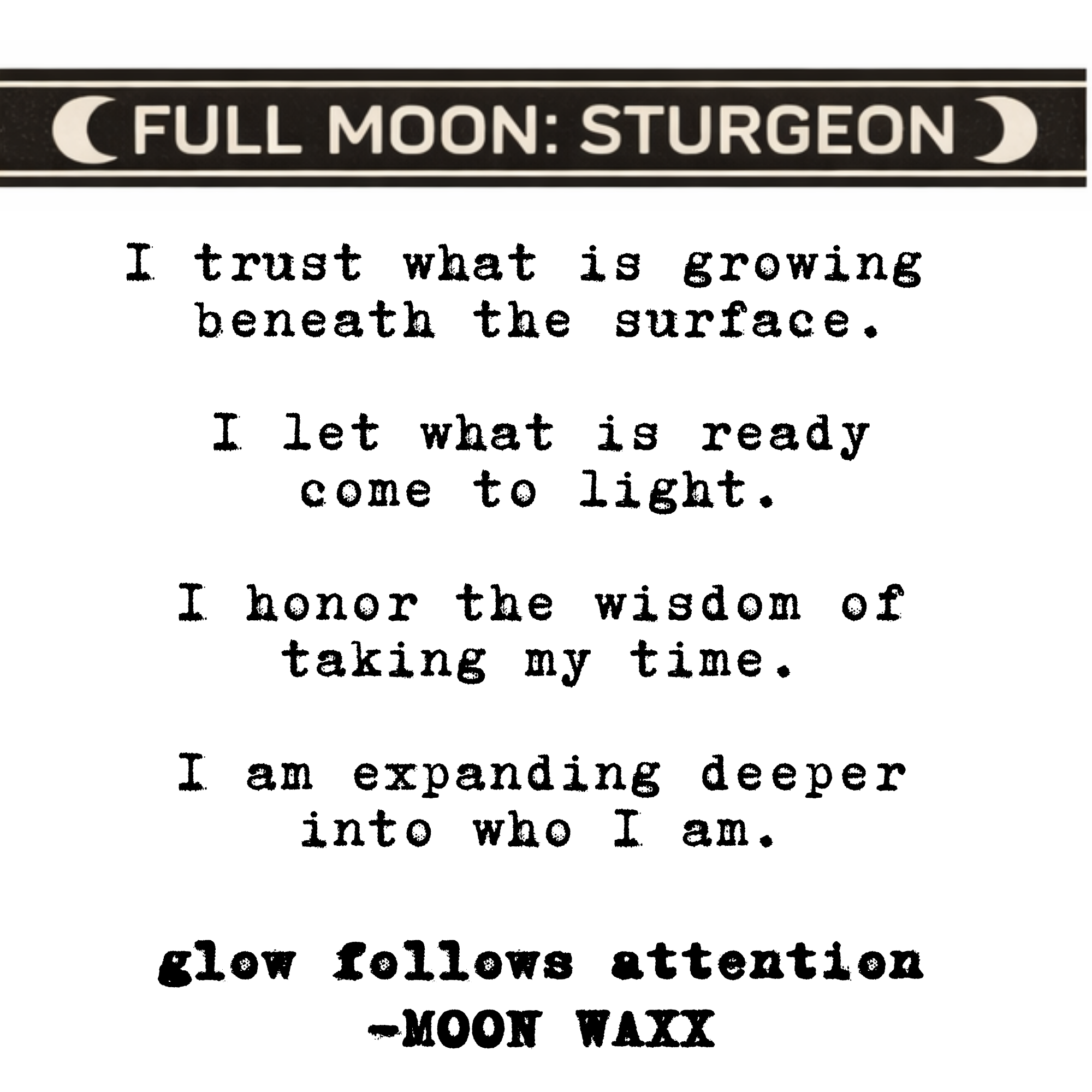 moon+affirmations+%2821%29.png