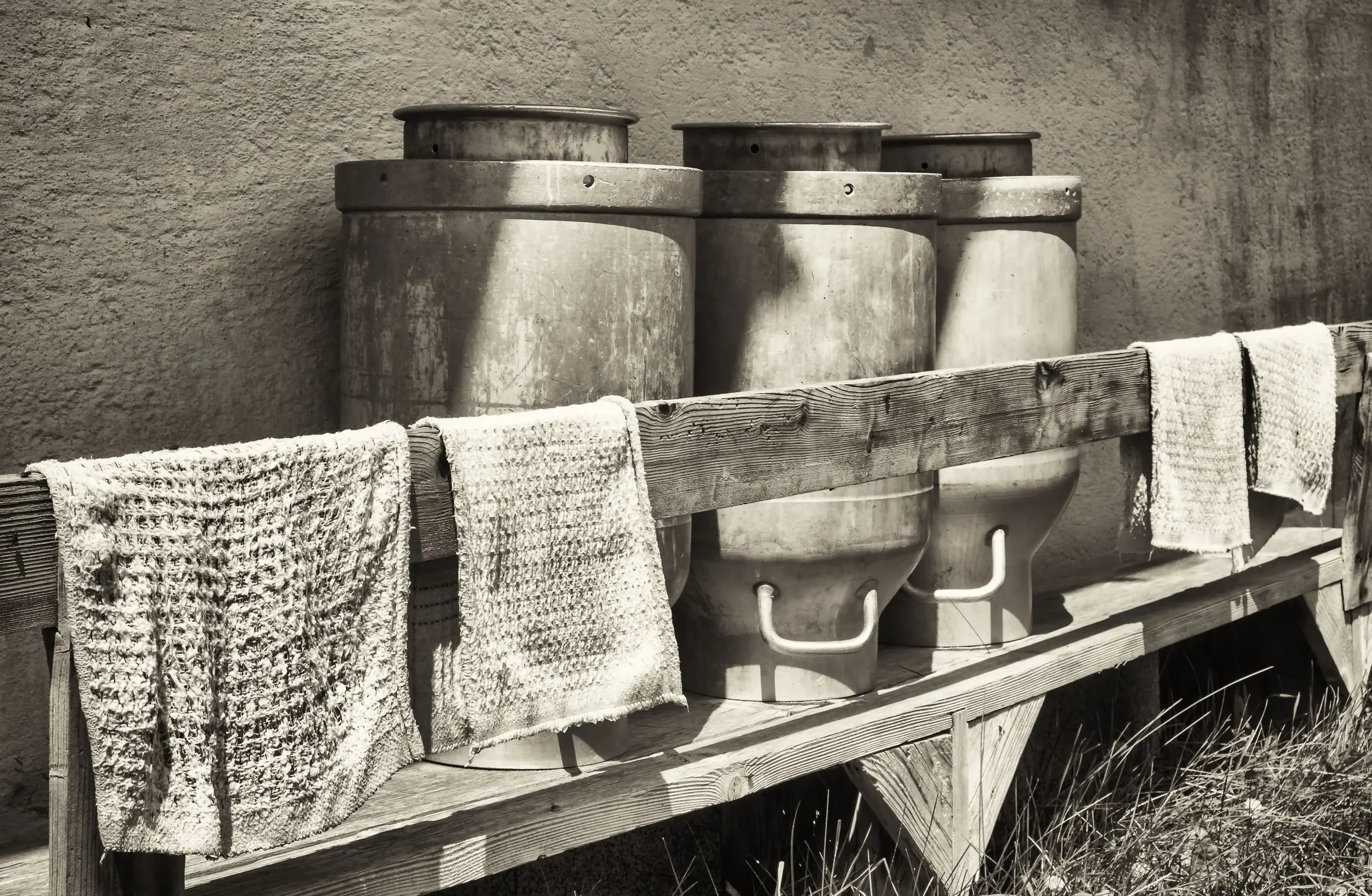 A Brief History of Milk
