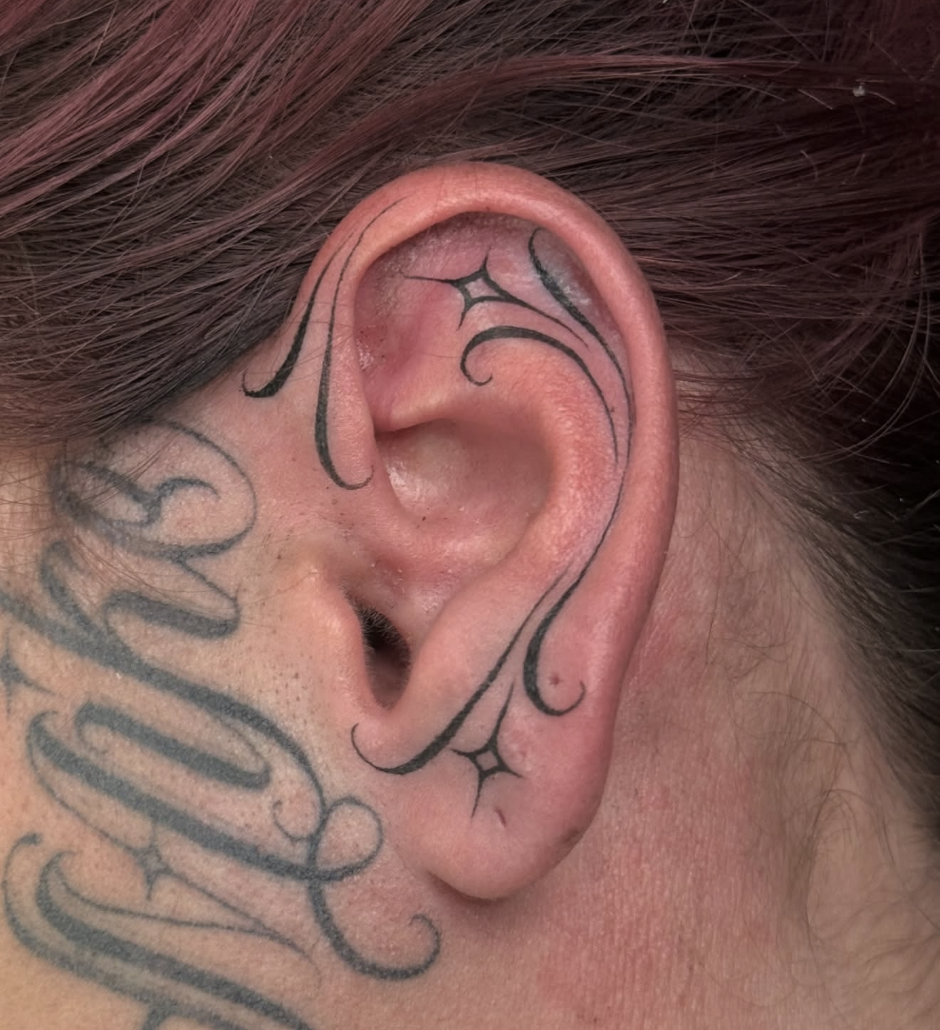 Screenshot 2026-04-20 at 12.25.02 PM.png