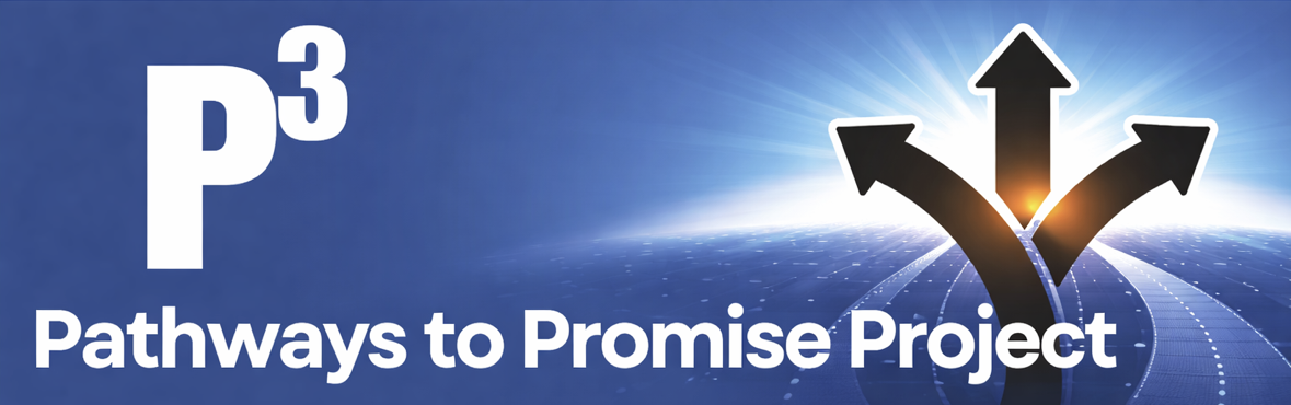P³ Pathways to Promise Project