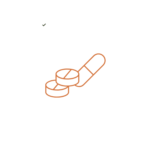 Pills capsule icon