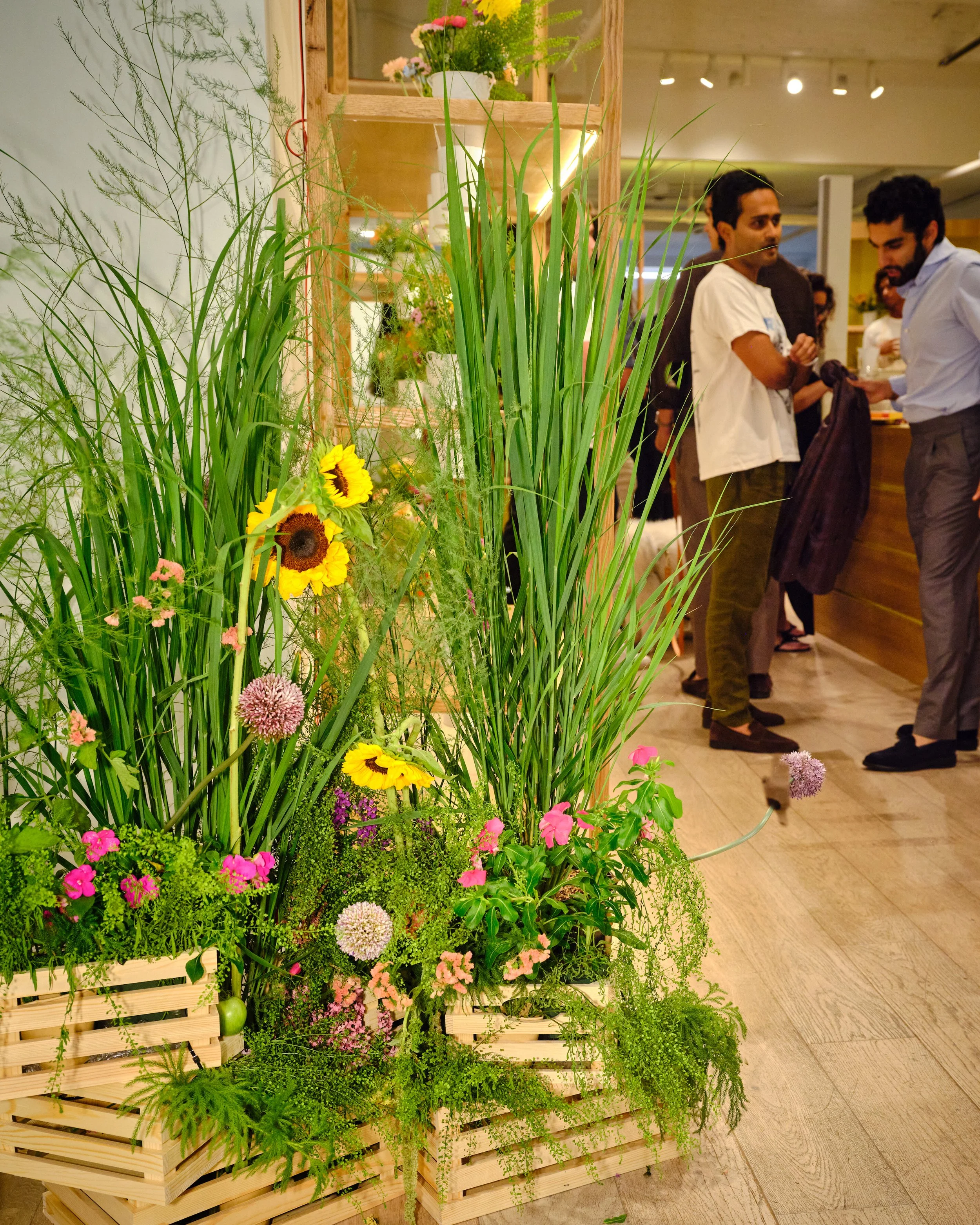 MaisonDeSabre_Bloom_26 118.jpg