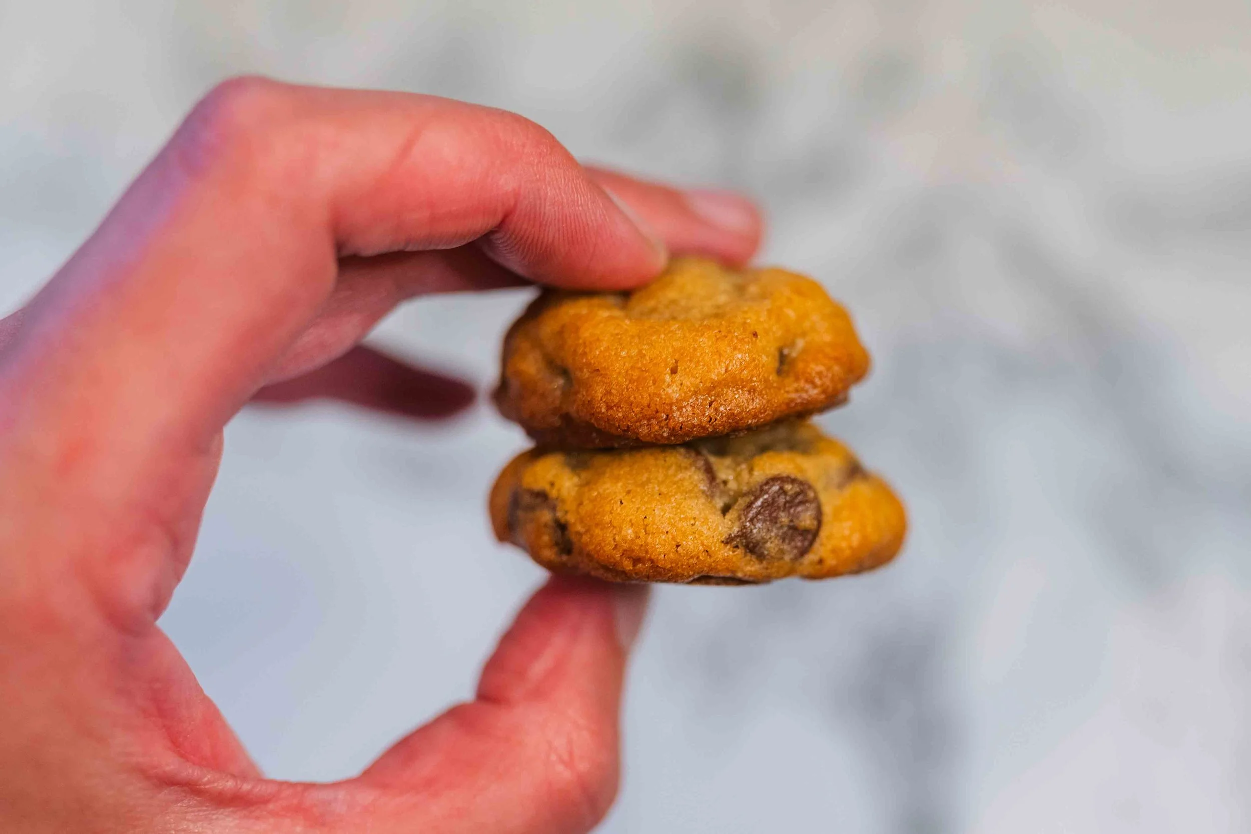 hand held chocolate chip cookies