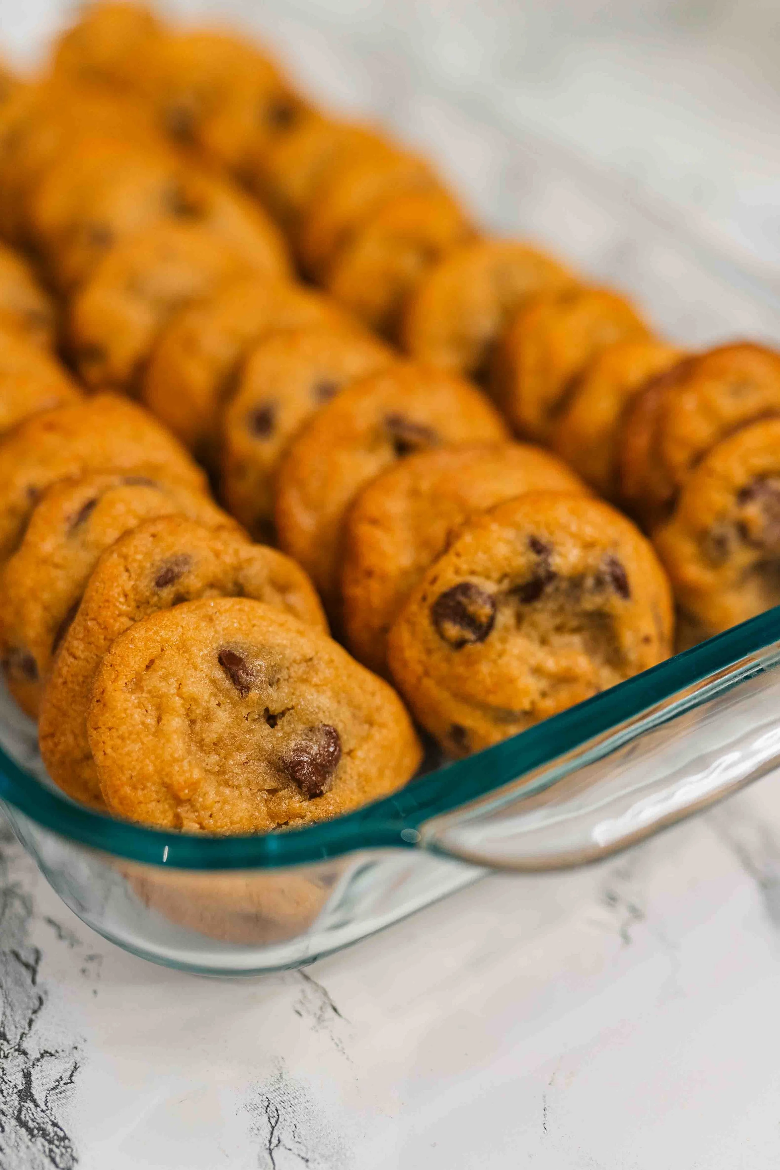 chocolate chip cookies displayed in a tray